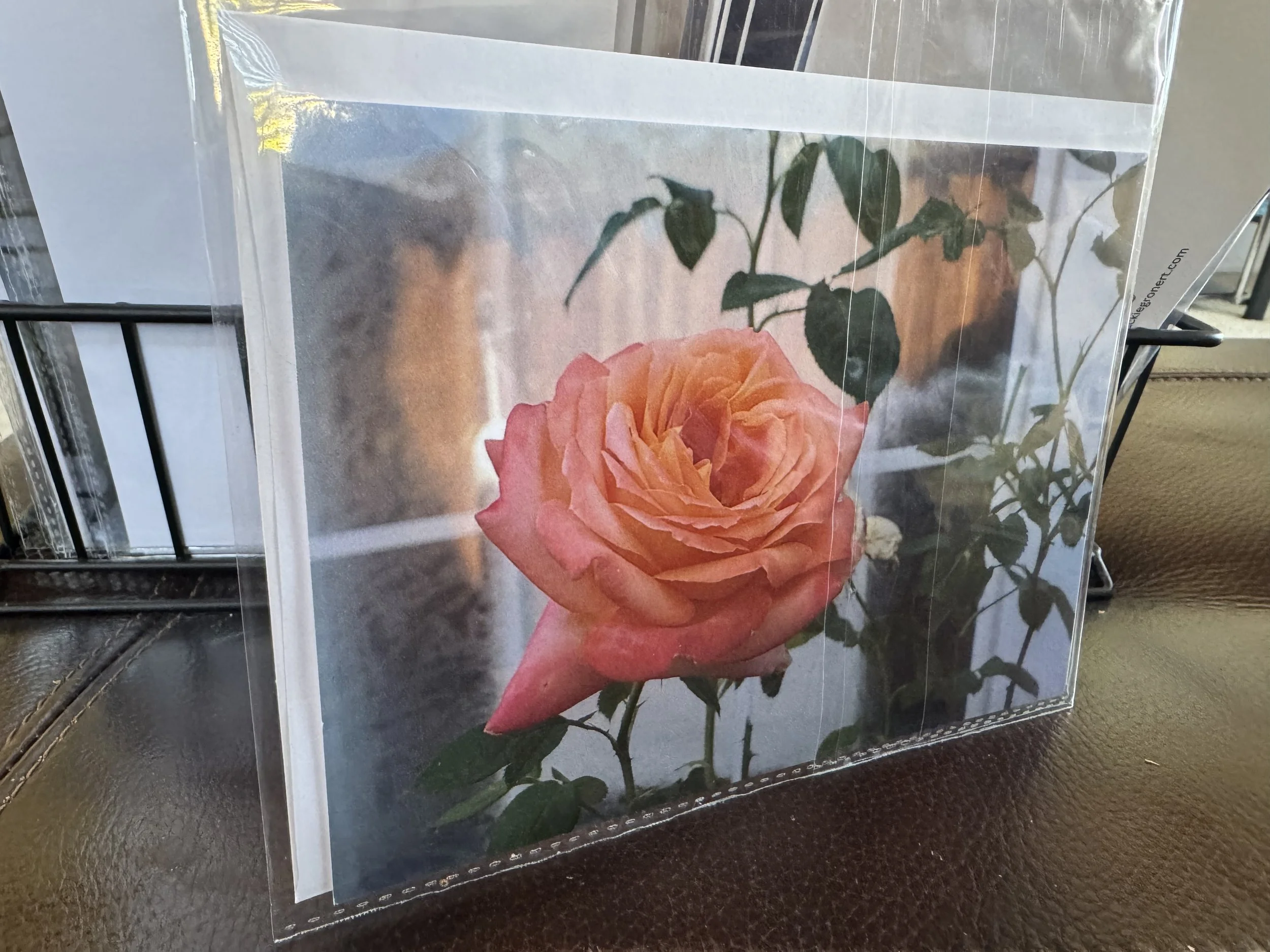 Peach Rose 5x7 Postcard