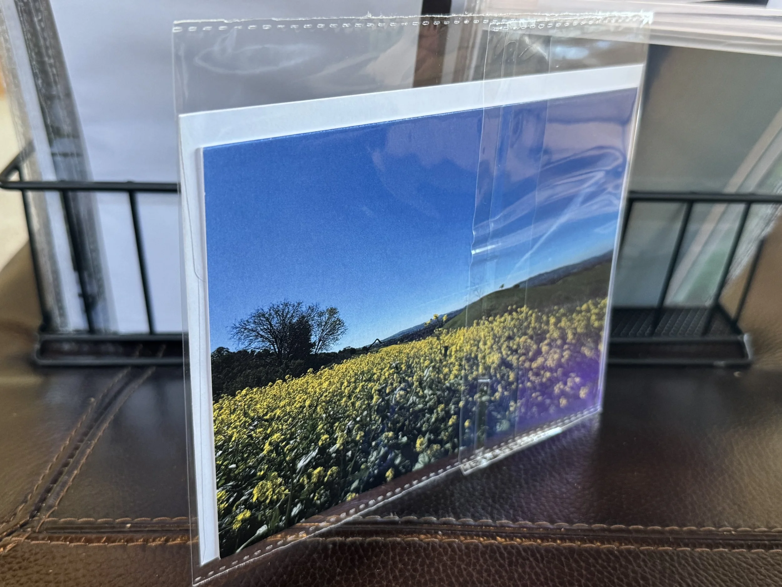 Yellow Fields 5x7 Postcard