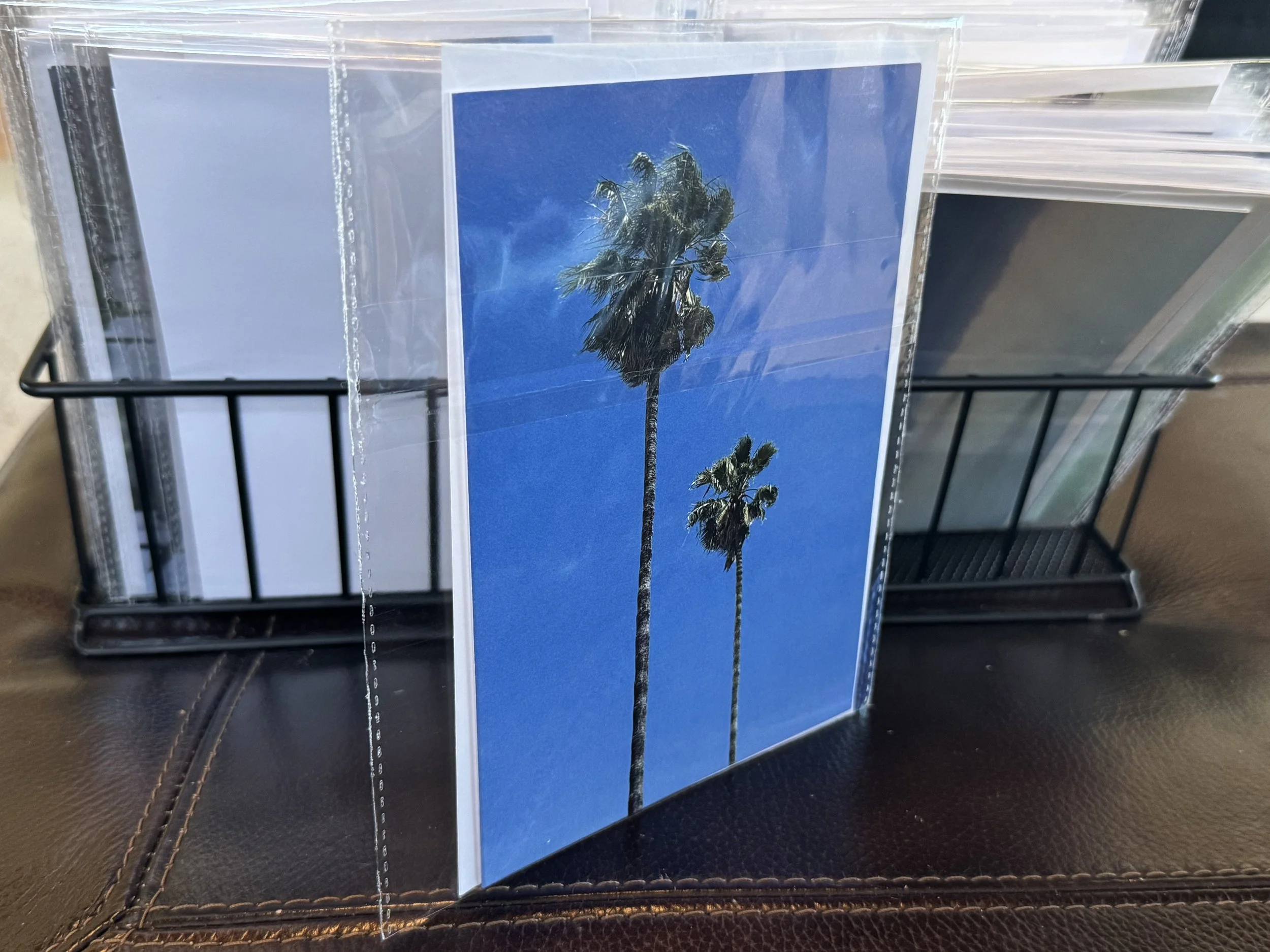 Two Palm Trees 5x7 Postcard