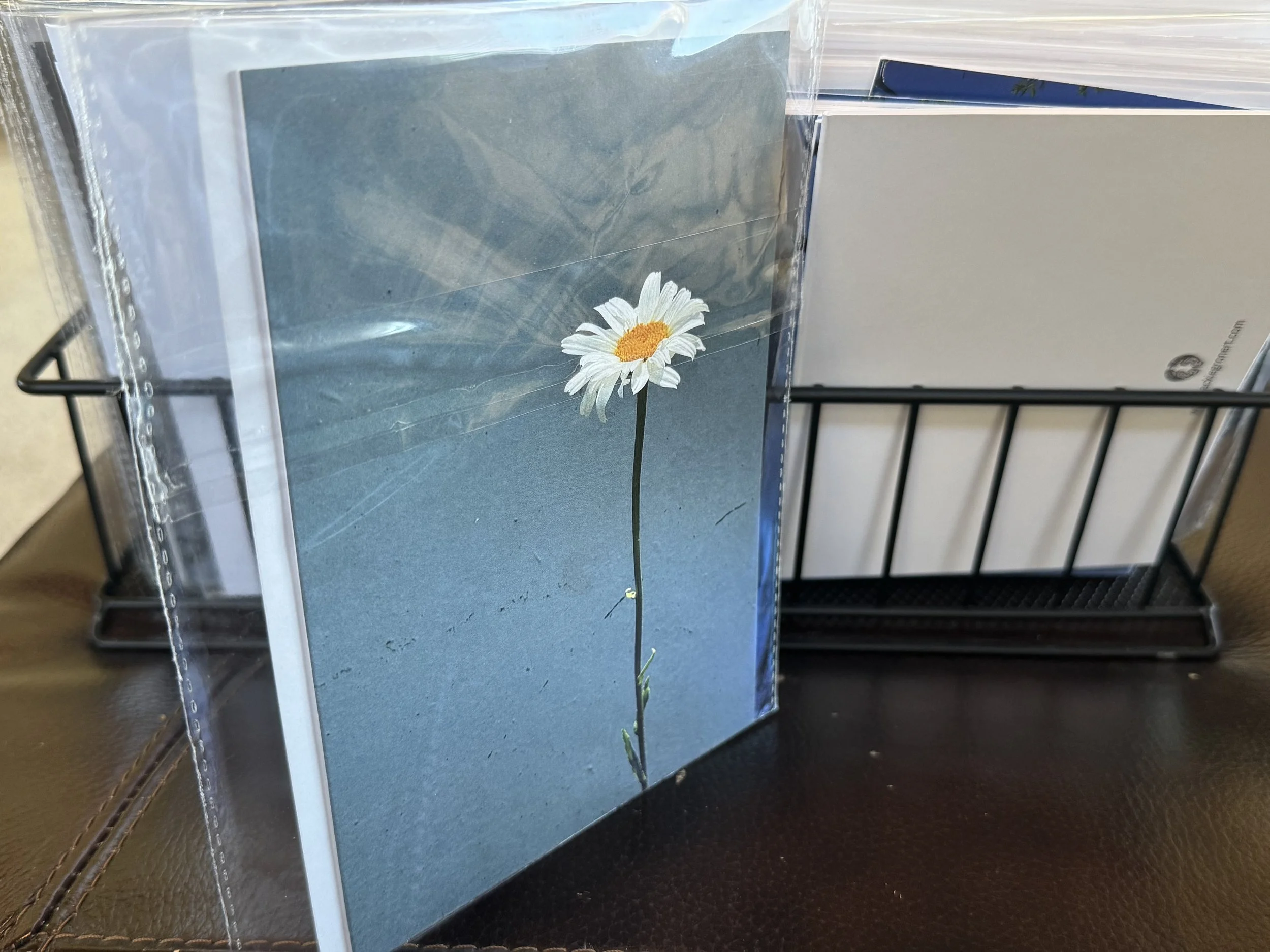Daisy 5x7 Postcard