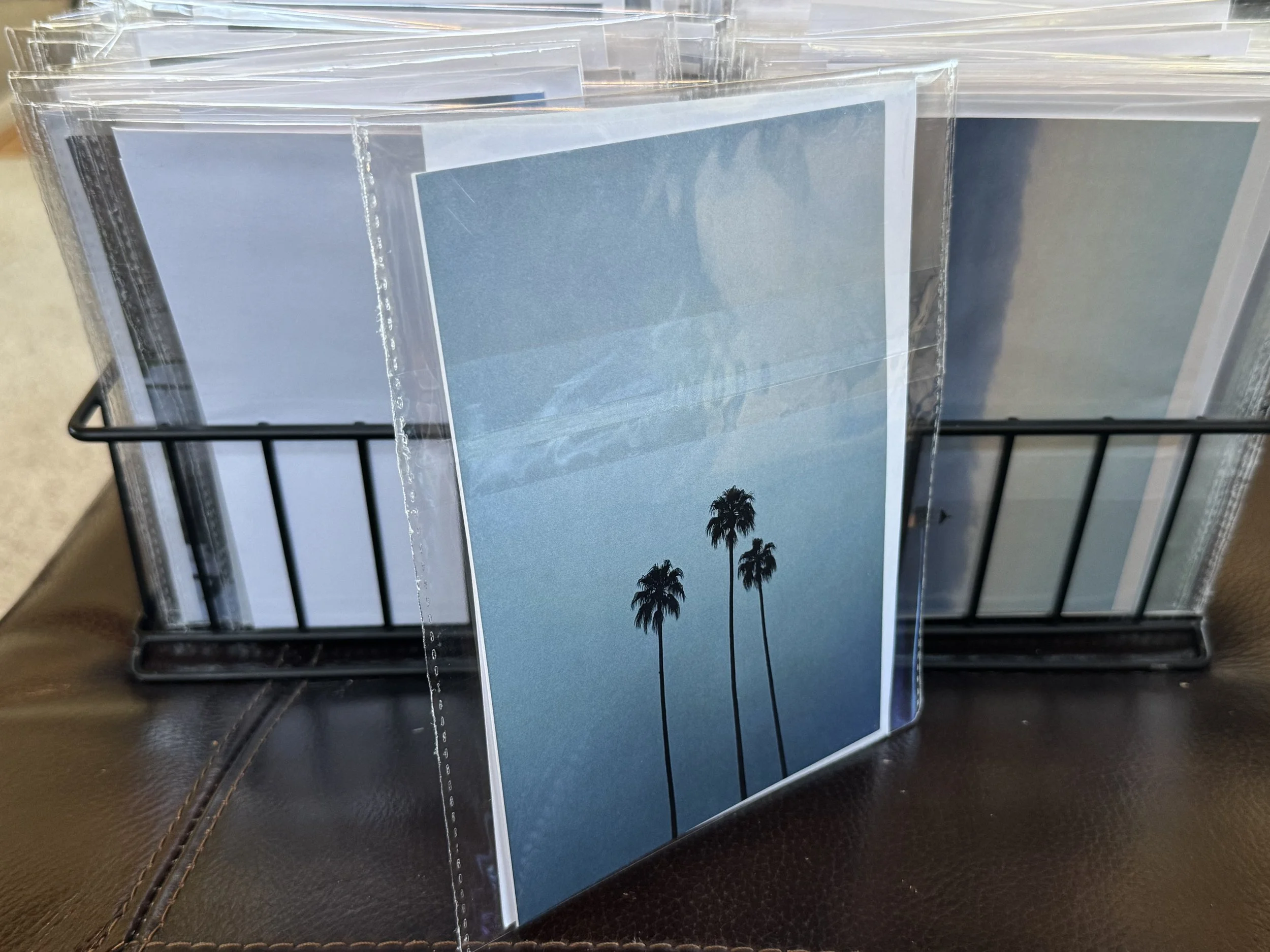 Three Palm Trees 5x7 Postcard
