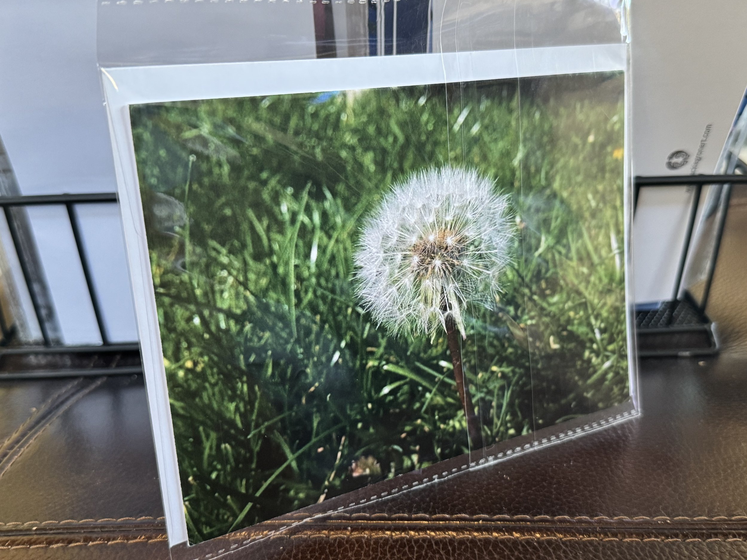 Make a Wish 5x7 Postcard
