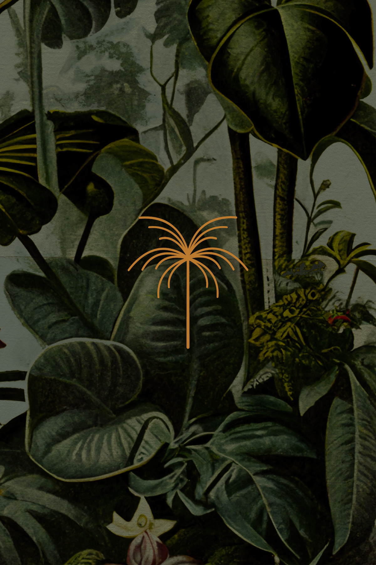 Solfina Bar & Terrace