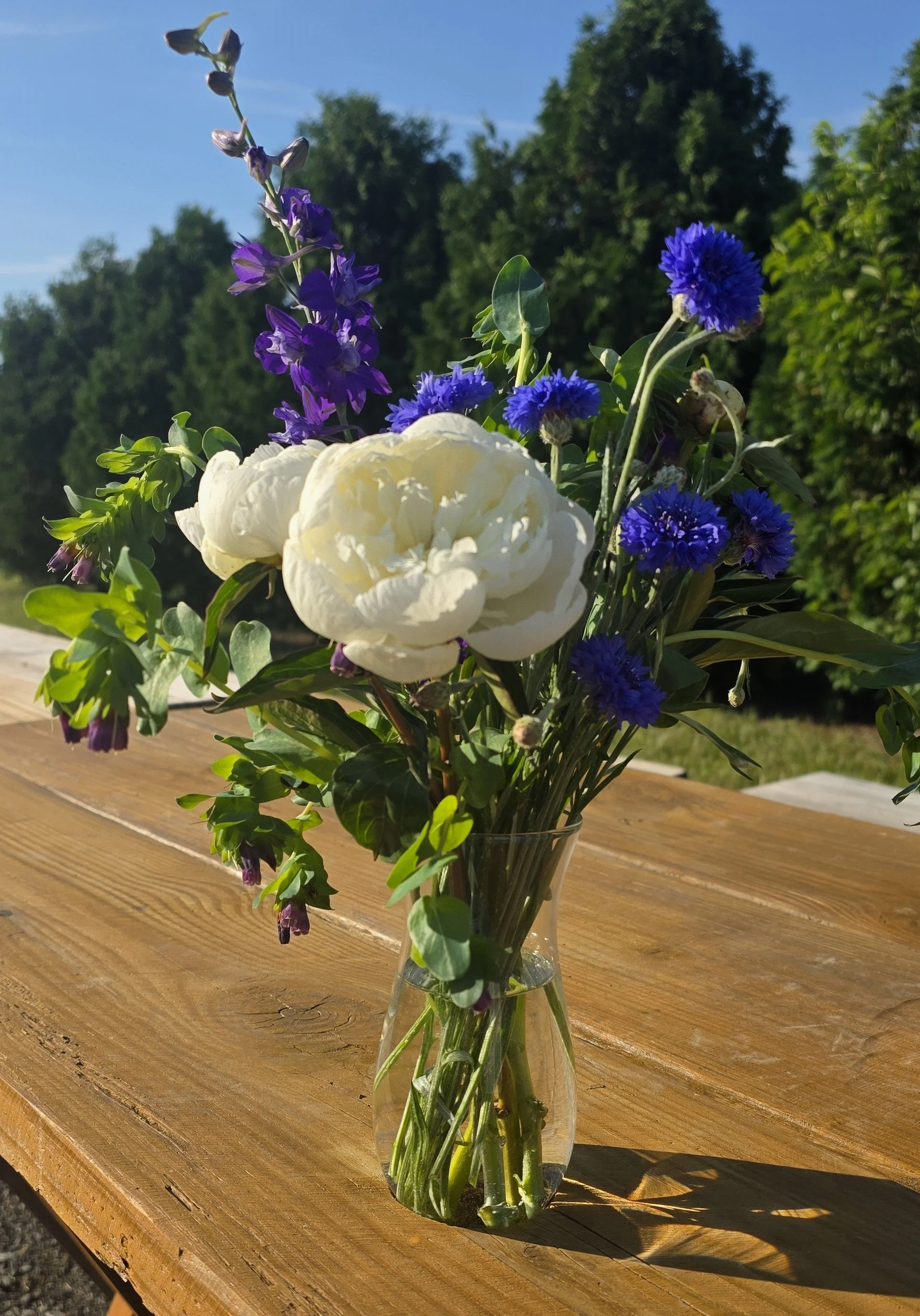Blooms&Berries.jpg