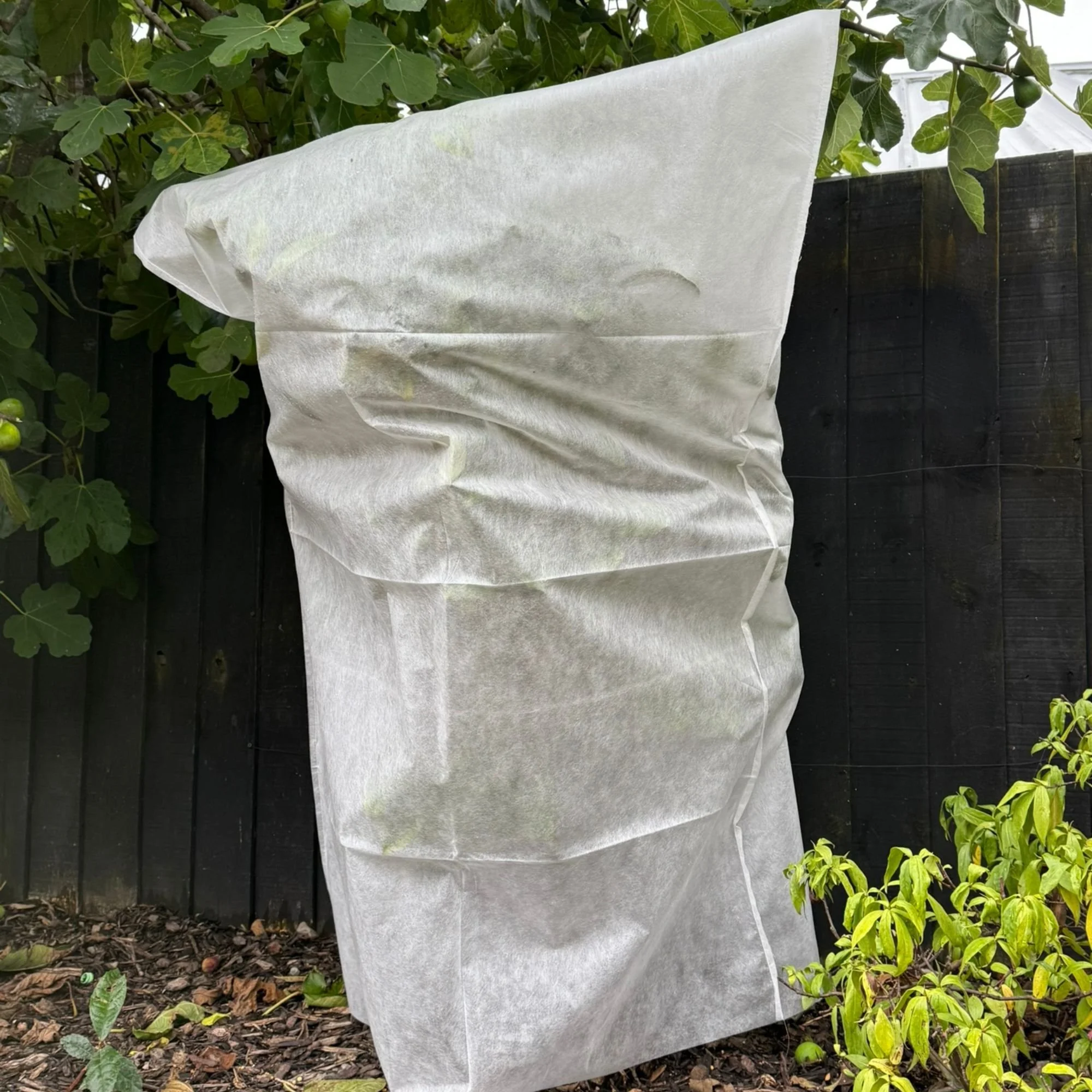Frost Cover Bag.jpg