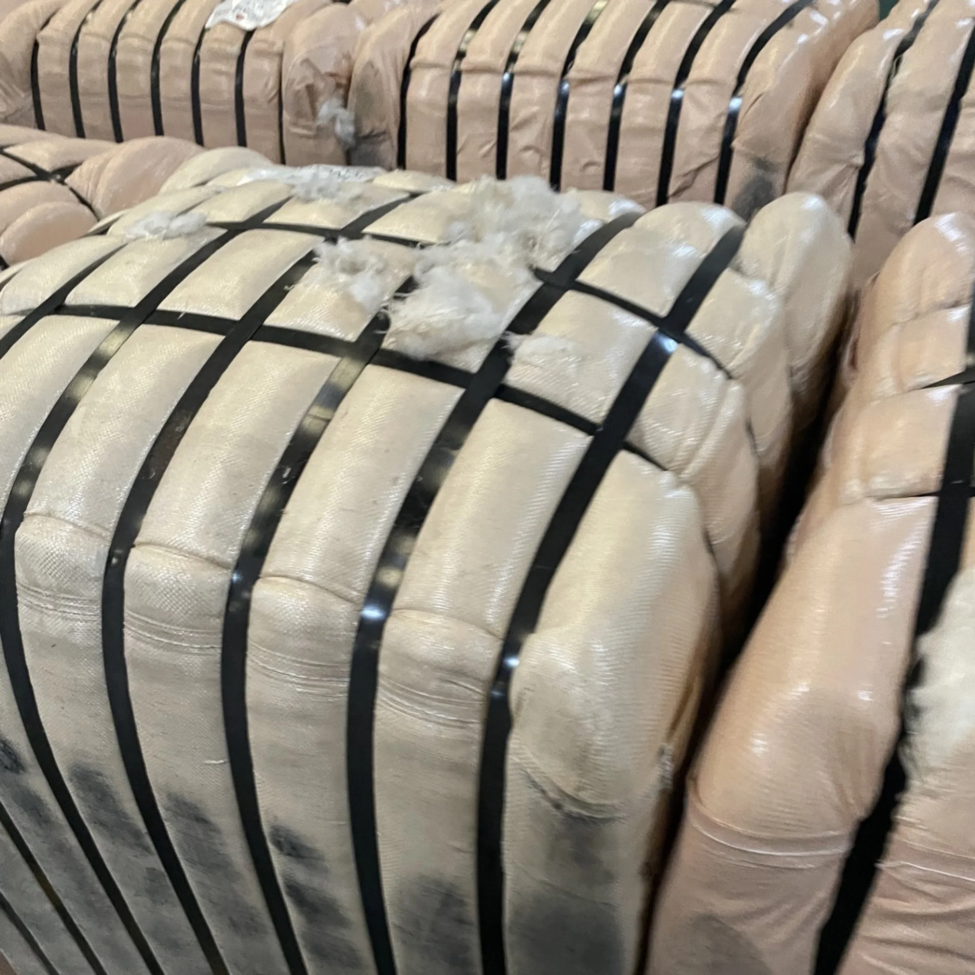 Export wool bales.jpg