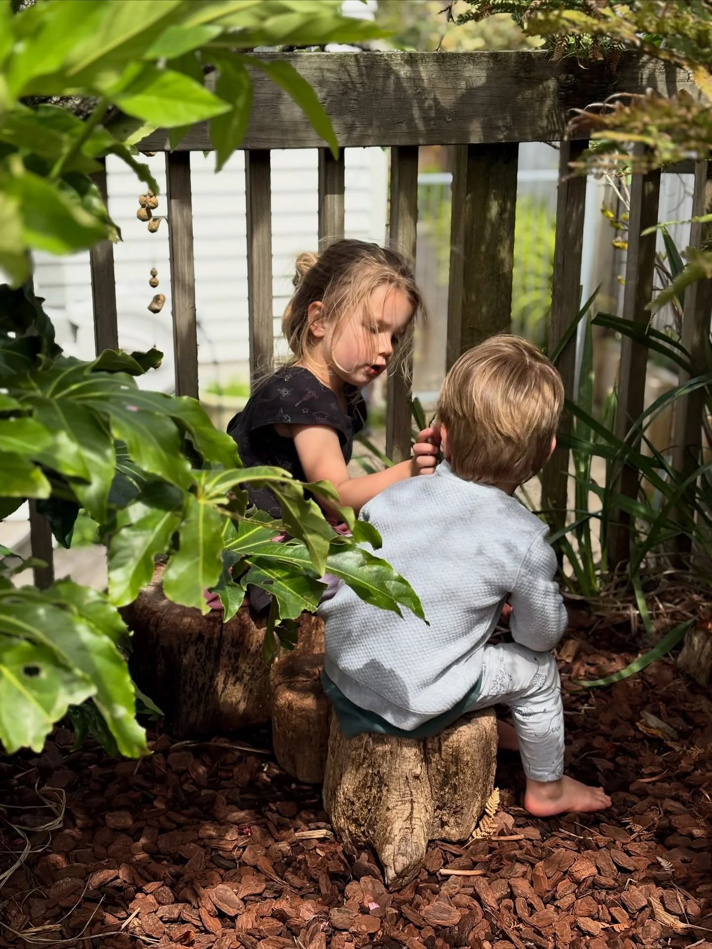 A special little moment in nature for these sweet little siblings at MBCC today. ๐ฅฐ๐๐ฑ๐