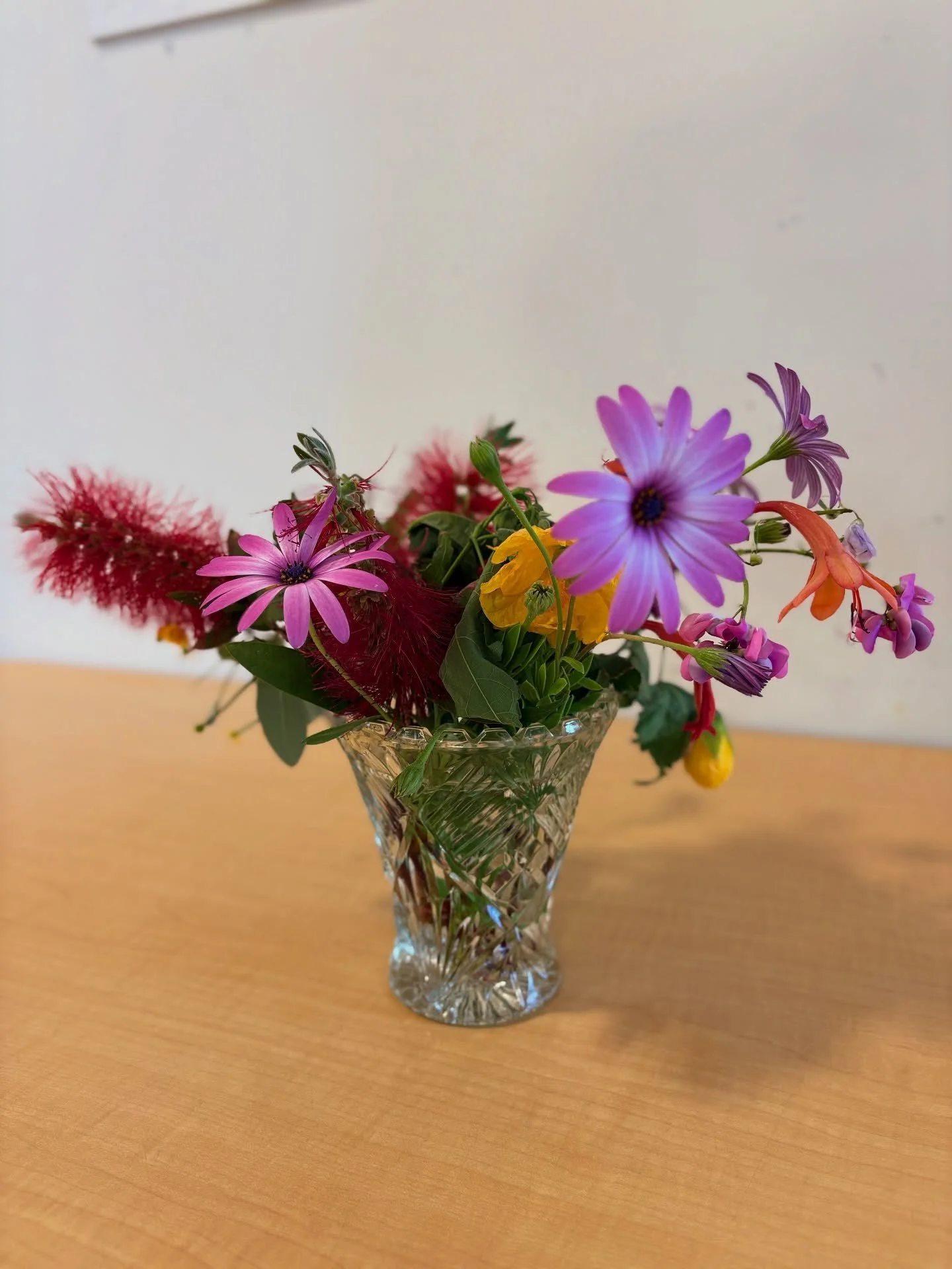 Today Sherene brought some beautiful flowers for us that she had collected. Avalon worked with some of our MBCC children at group time to use them for flower arranging. Just look at the stunning arrangements on display! 💚🌸🌹🌼💚