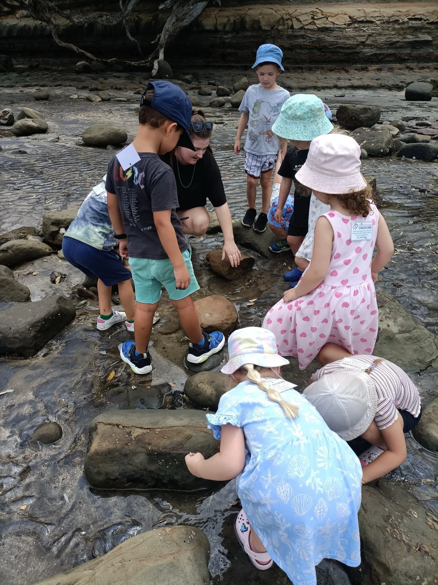 This afternoon our oldest tamariki went for a walk to the beach as part of the Rocky Shore project they have been working on. What interesting sea life and creatures they found in the rock pools! 💚🦀🪸🐚🦐💚