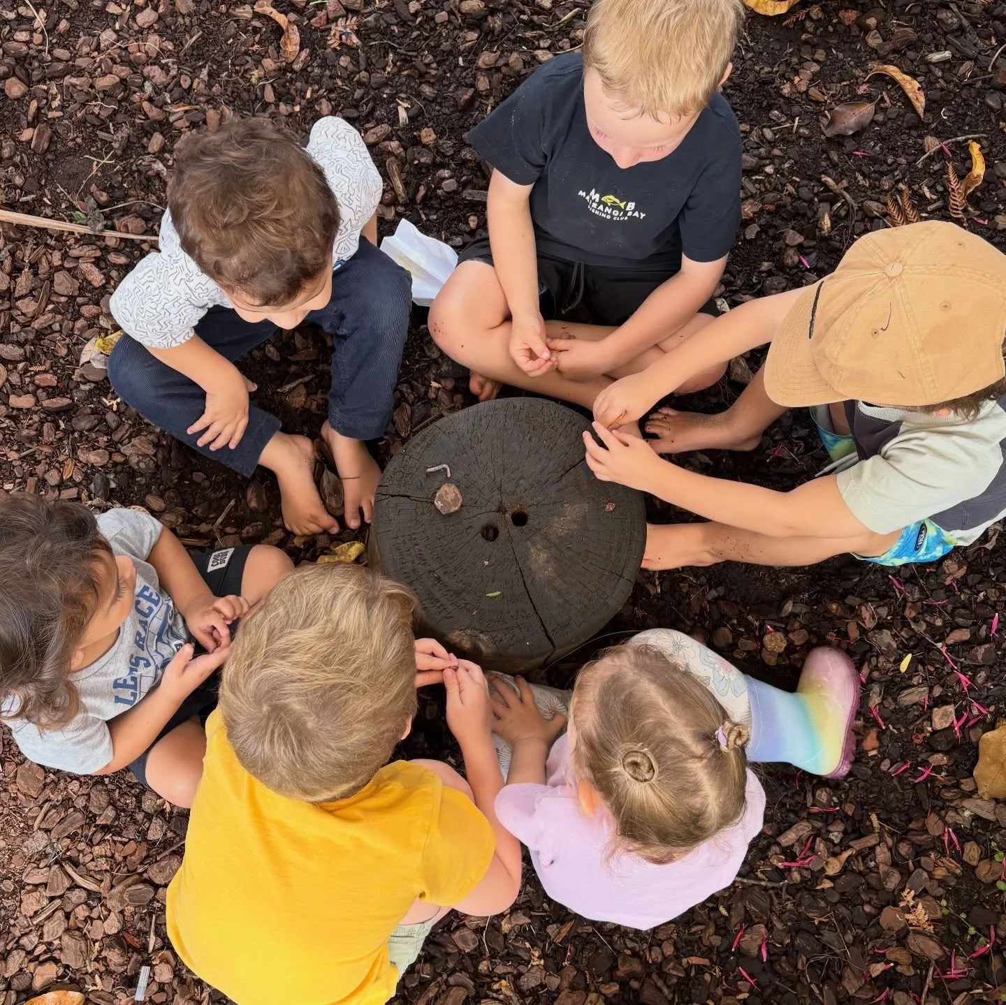 Today our kind and caring tamariki at MBCC rescued a little worm who had been out enjoying the wet weather and found himself on a child playing with the water. They found a spot in the garden for the worm and spent time observing him as he settled ba