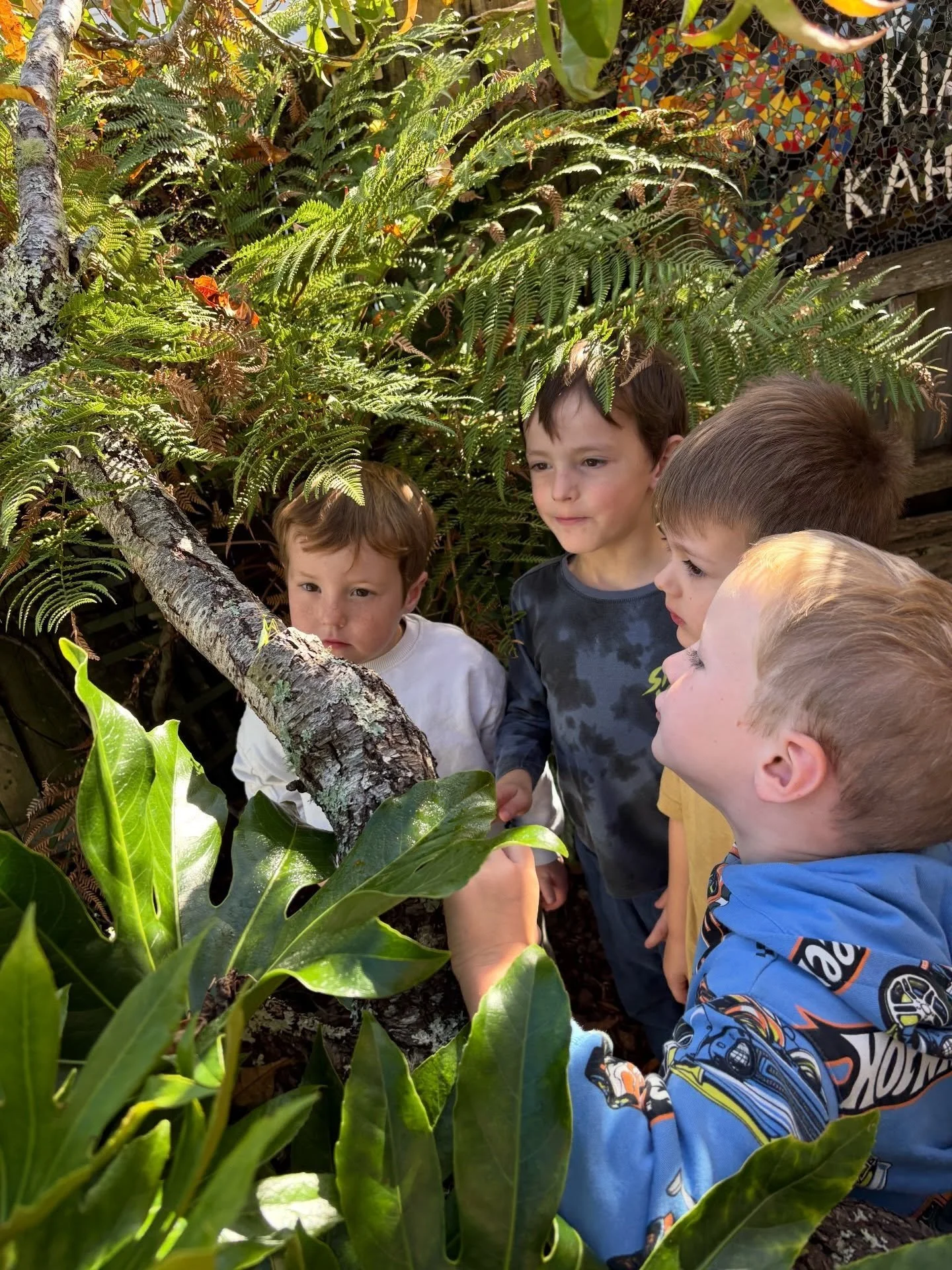 Kia ora e hoa! Hello little friend! We have had so many praying mantis visiting us at MBCC recently. This one was taking a lovely morning autumn walk along our peach tree! 💚💚💚