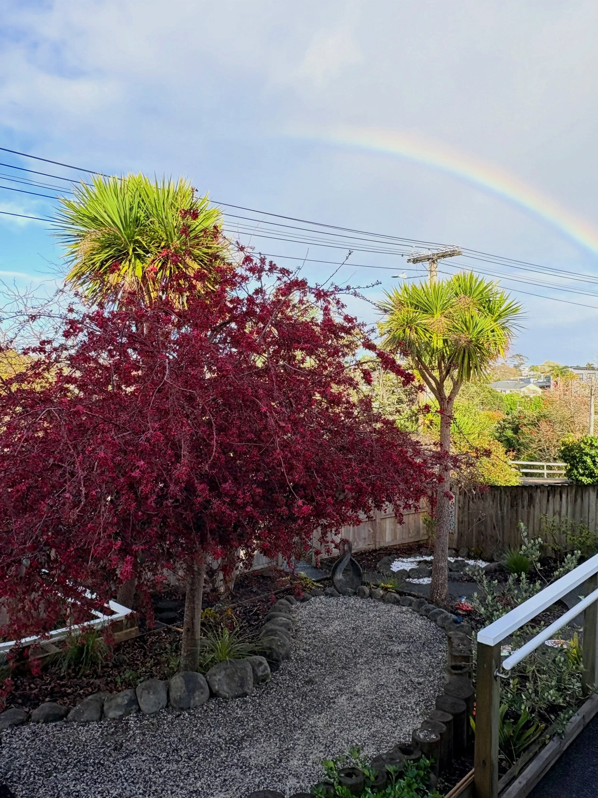 Happy Monday MBCC whānau! 💚🌸🌈💚