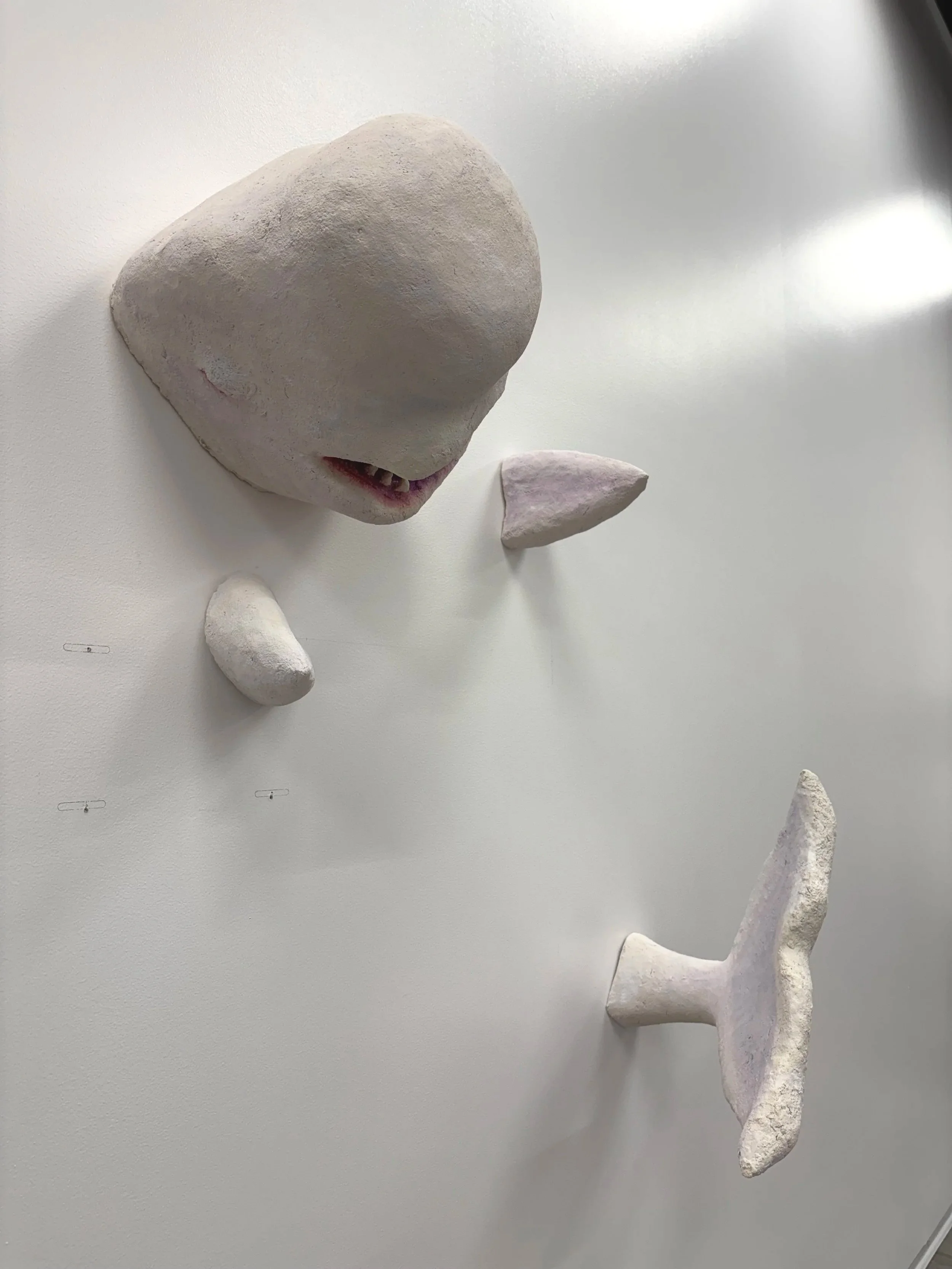 Mobey - 2026
Painted Paper Clay and Foam