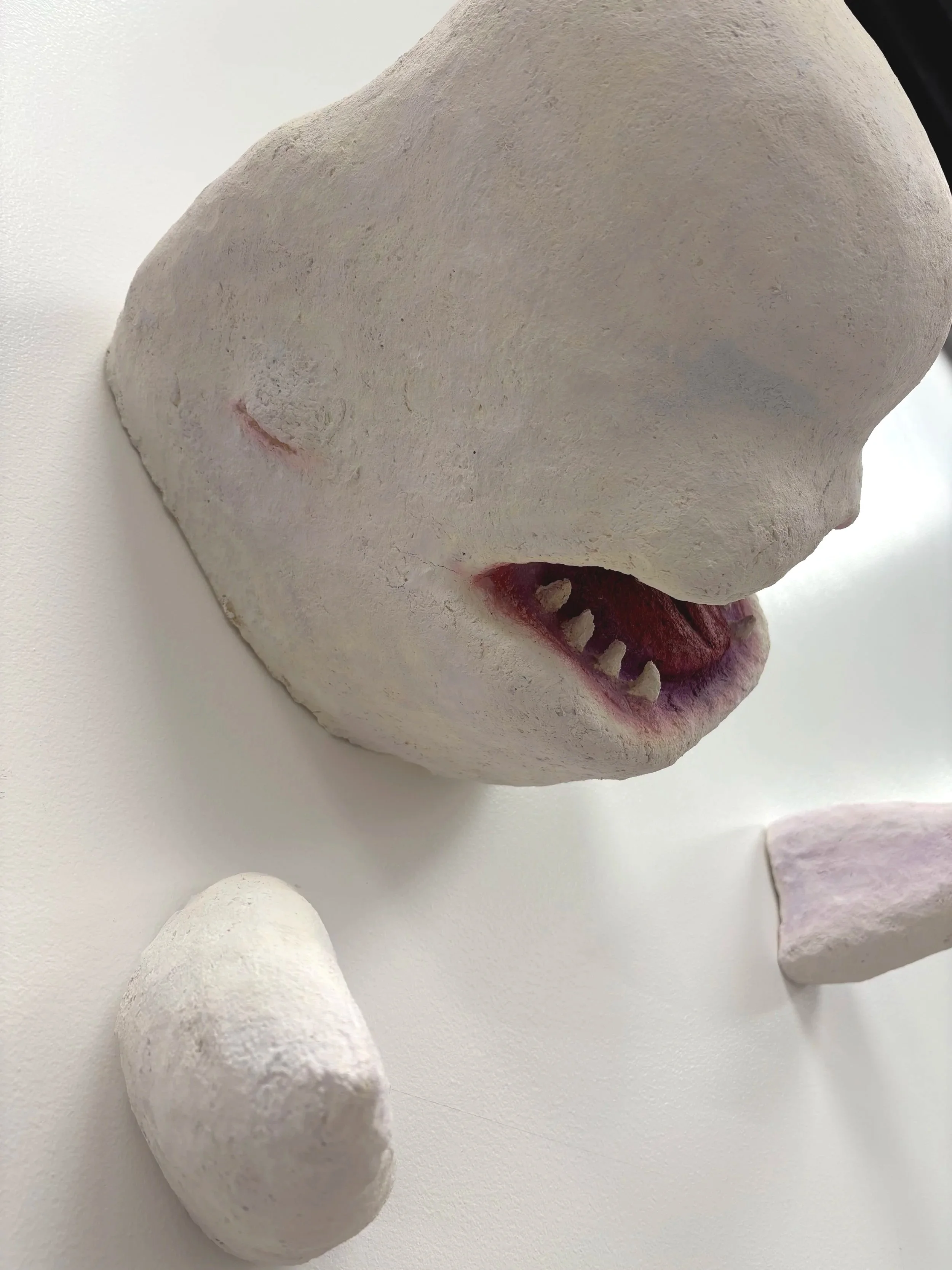 Mobey Detail - 2026
Painted Paper Clay and Foam