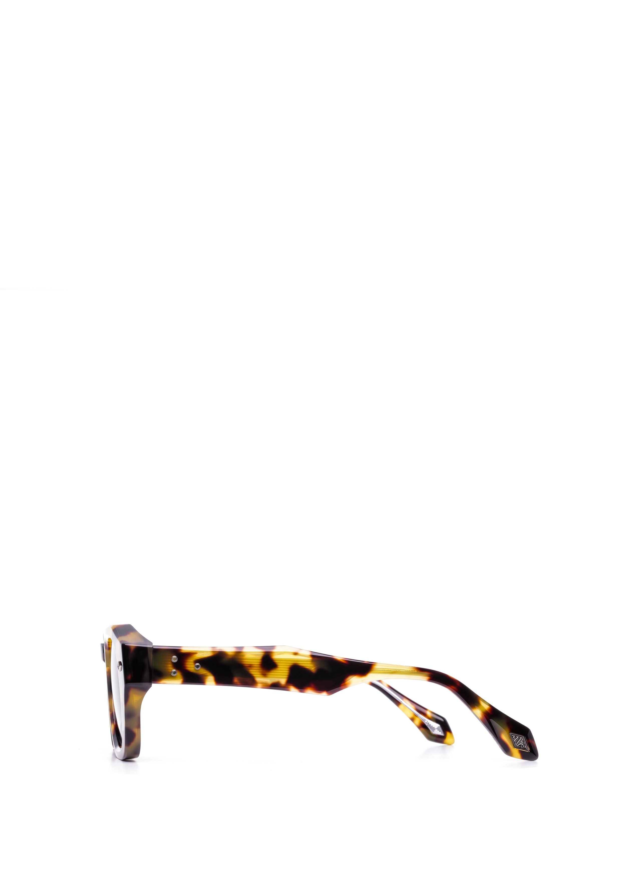 LUDO side tortoise.jpg