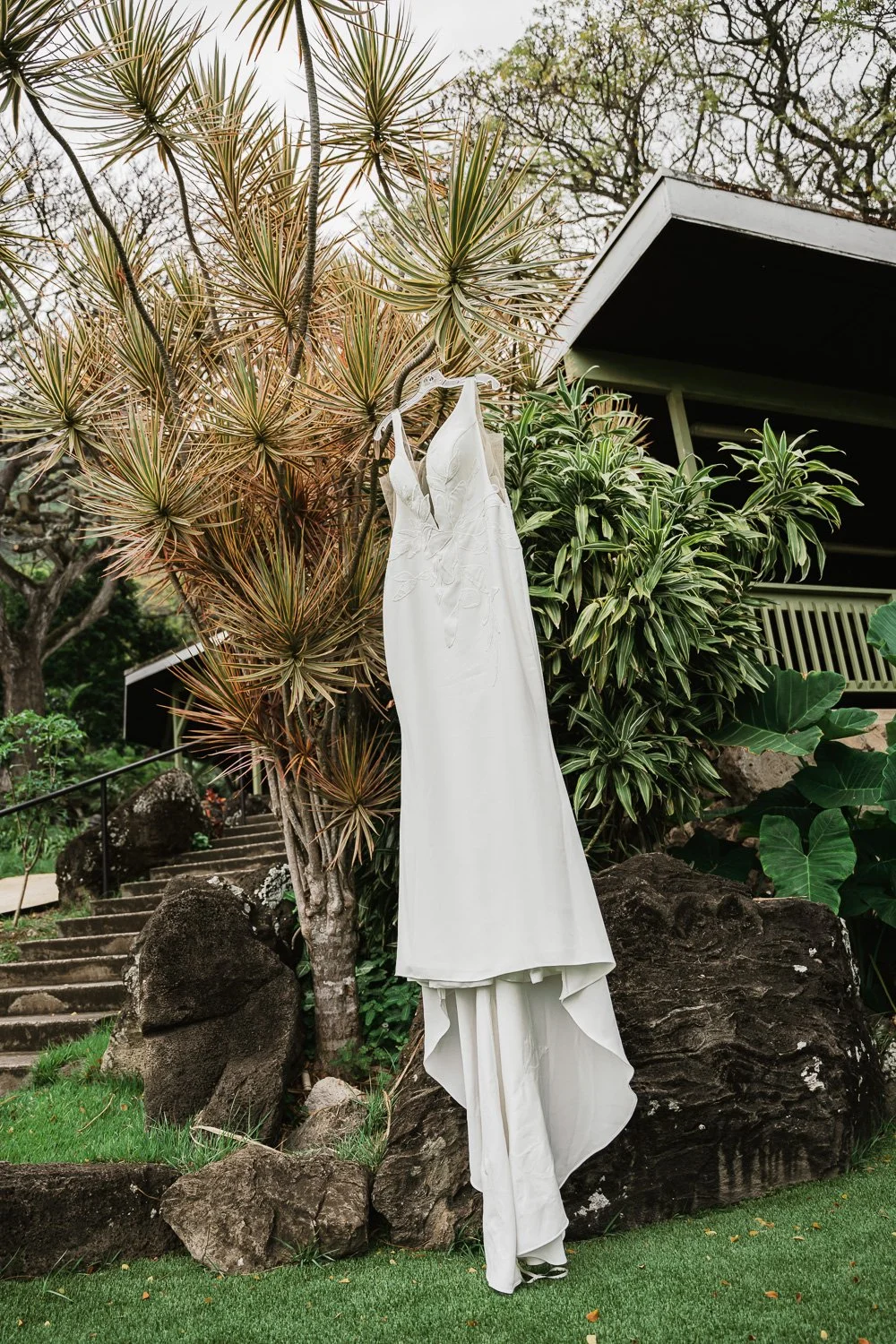 A white dress hung on a tree among lush green plants and rocks in an outdoor garden setting.