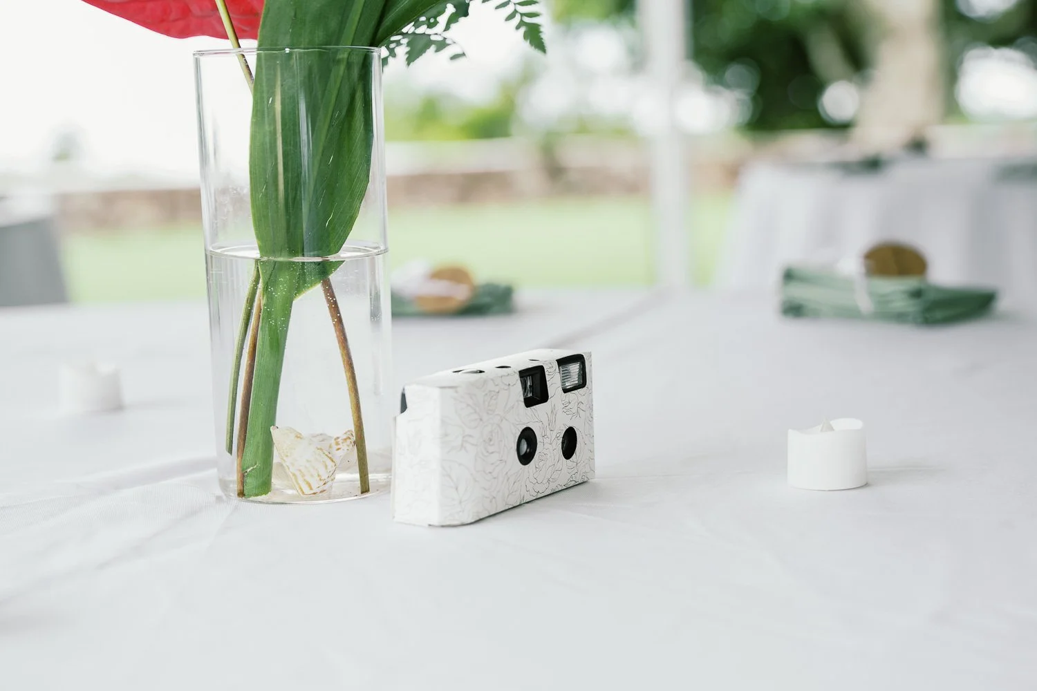 Vase with green leaves and pink flower, electric switch, white tablecloth, and blurred background with outdoor view.