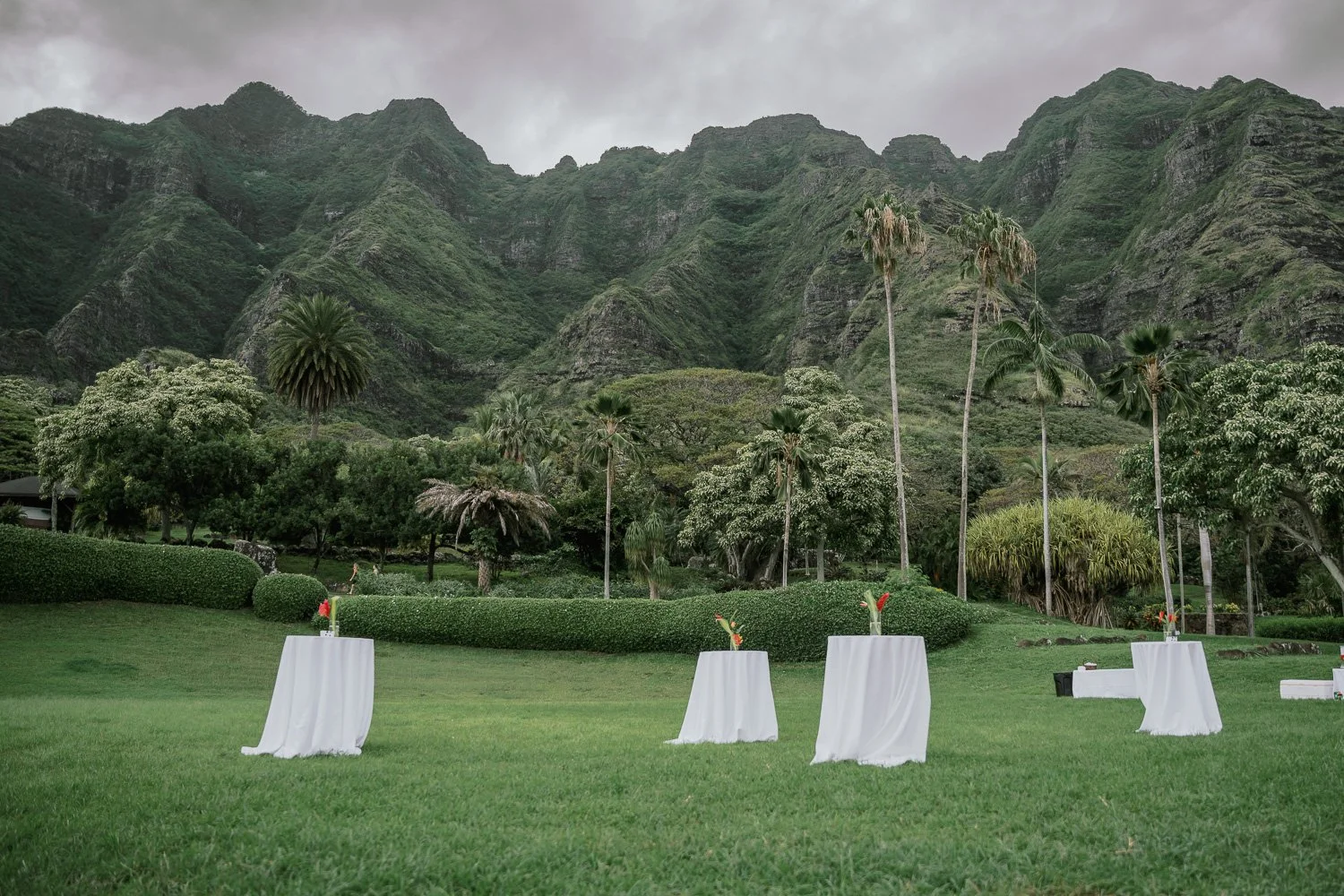 Outdoor event setup with small round tables draped in white cloths, each with a floral centerpiece, on a green lawn surrounded by lush trees and mountains under a cloudy sky.