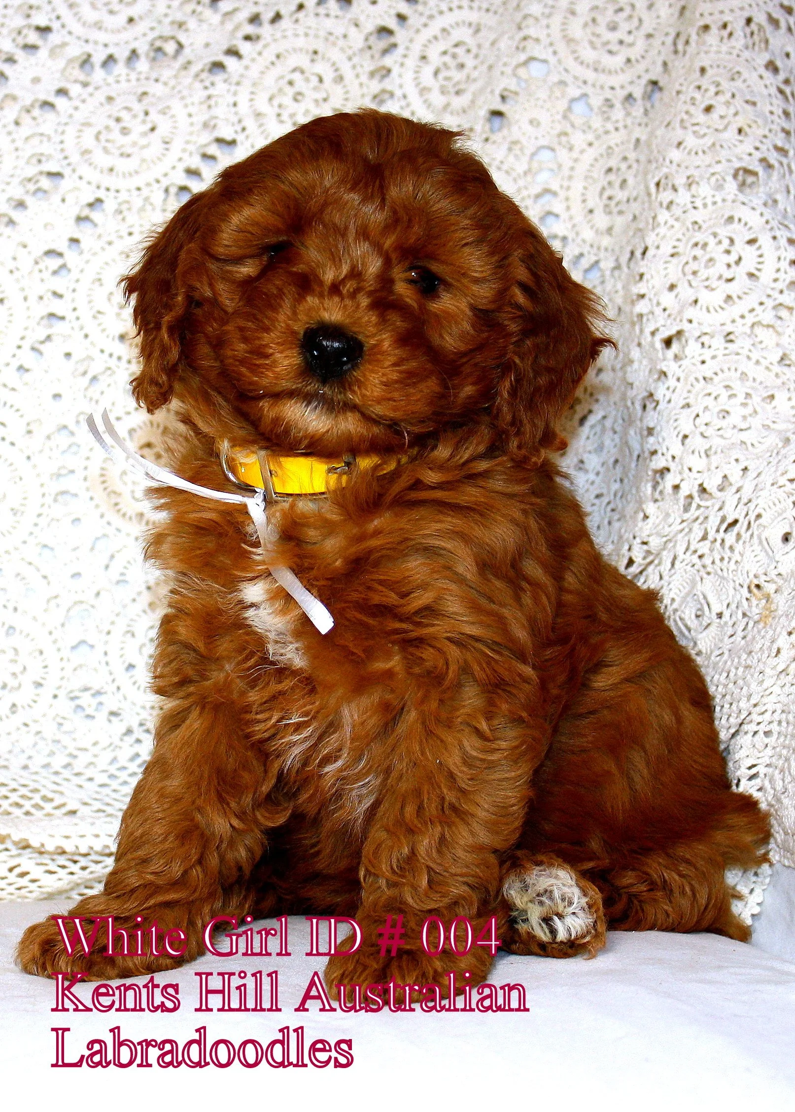 5.White Girl ID 004 (1).JPG