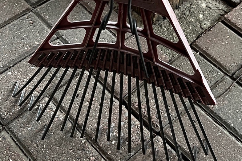 The Rule of the Rake