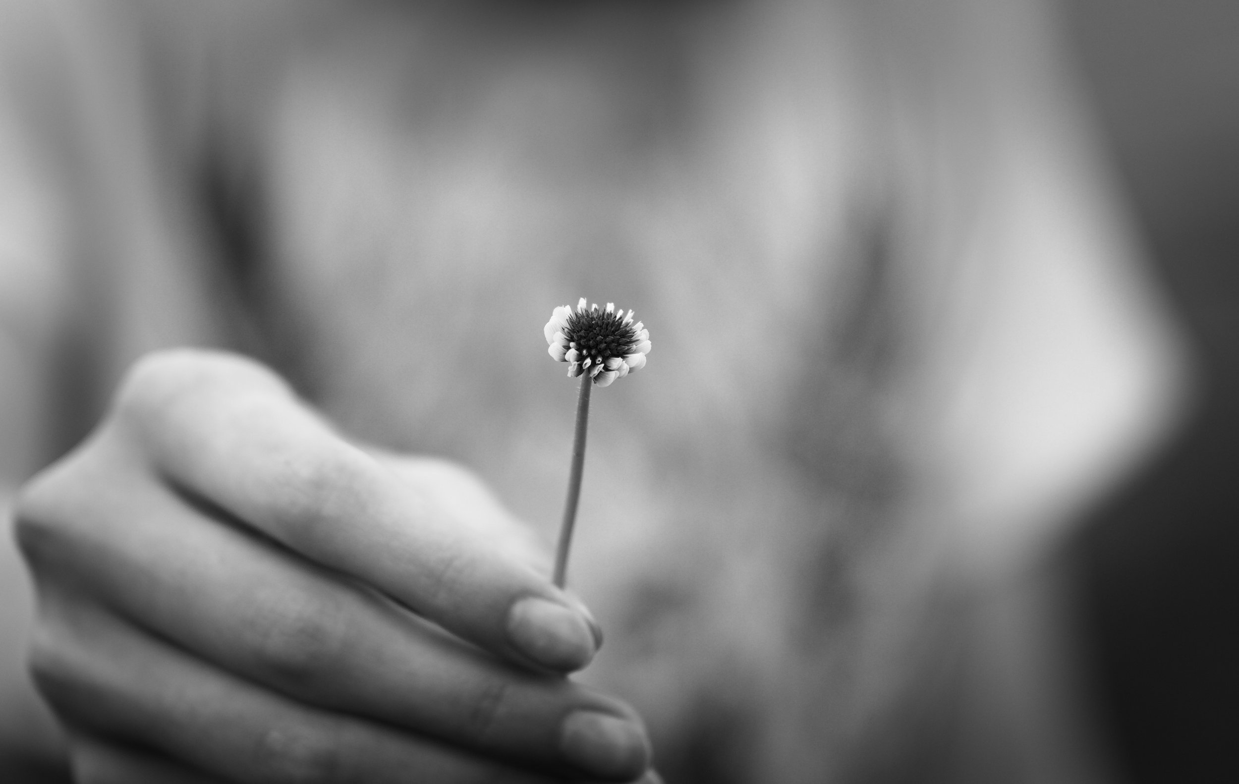 DSC_1909.jpg