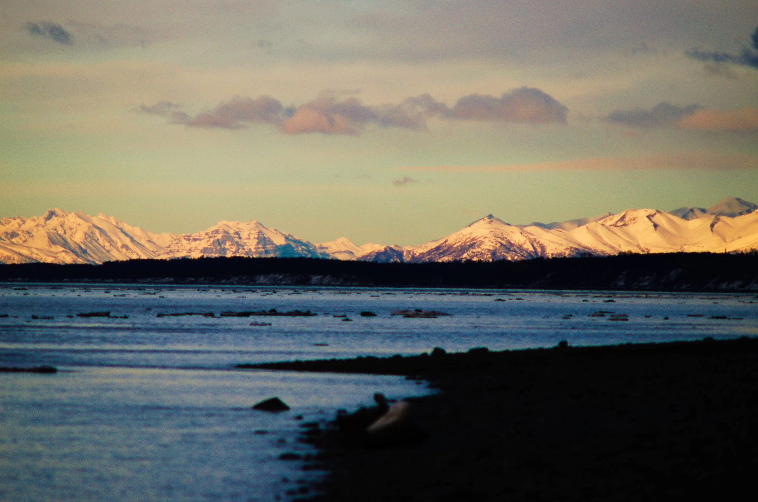 DSC_0610.jpg