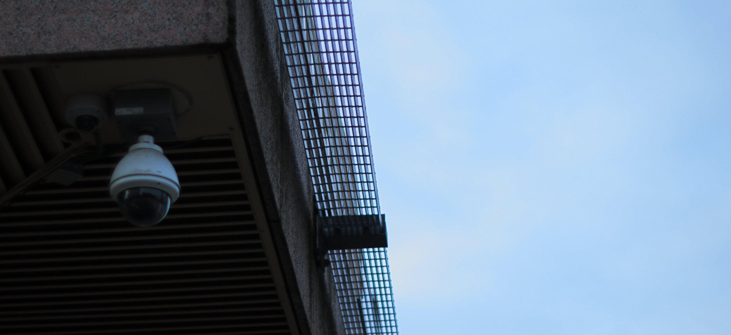 DSC_0833.jpg