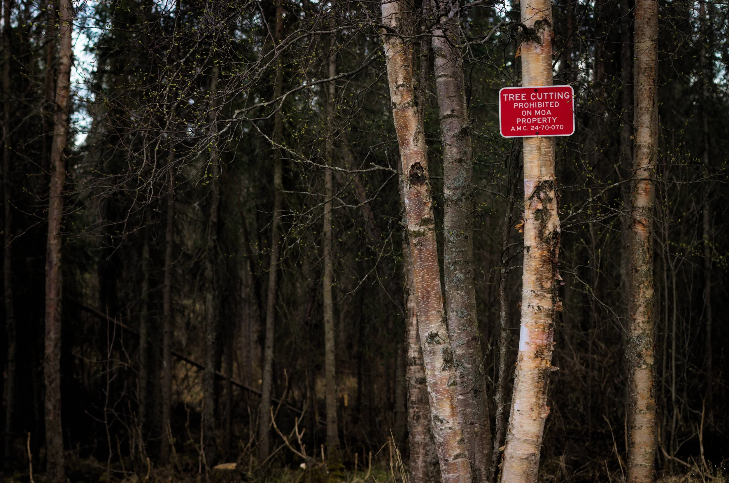 DSC_0694.jpg