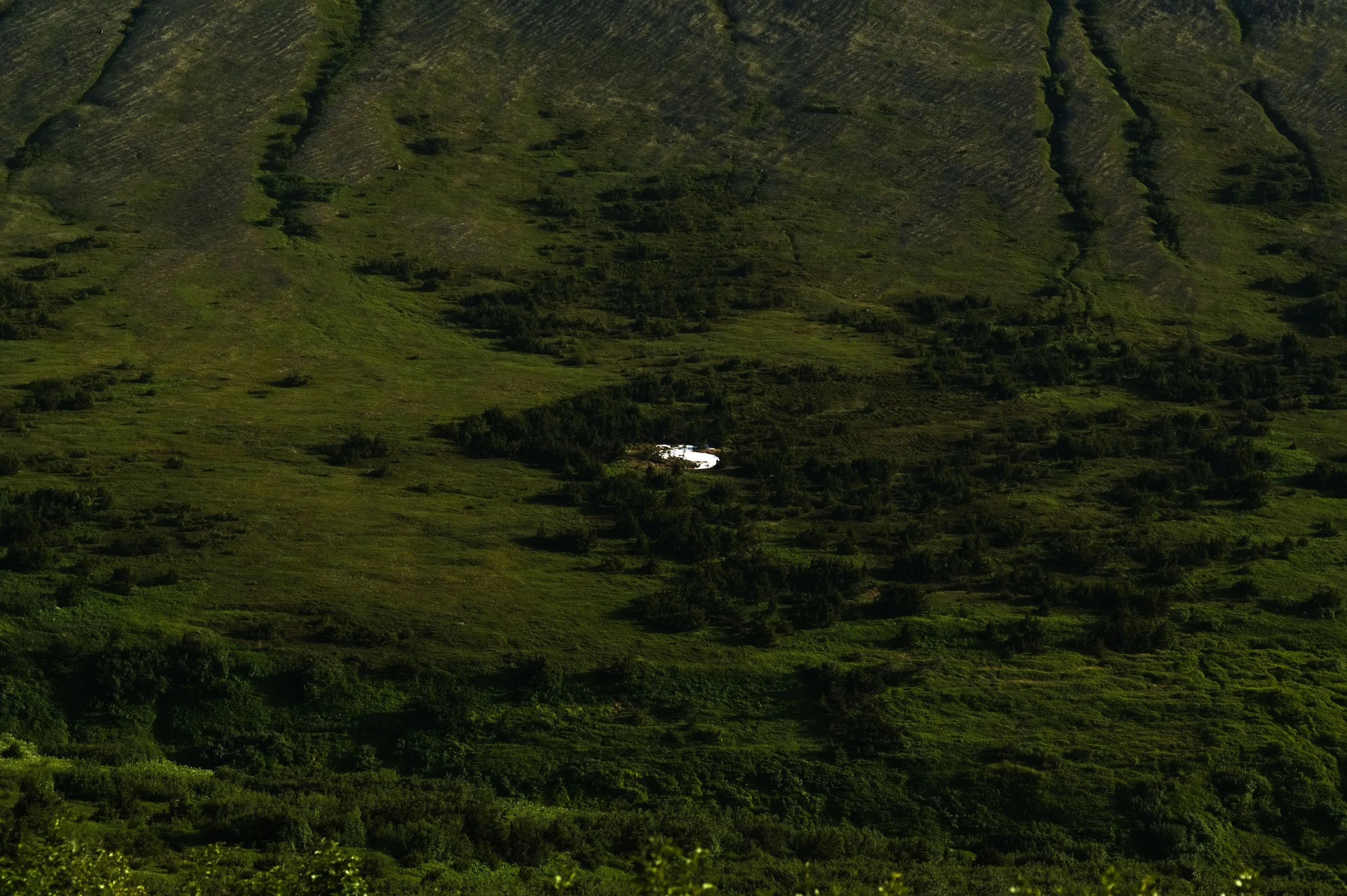 DSC_3755.jpg