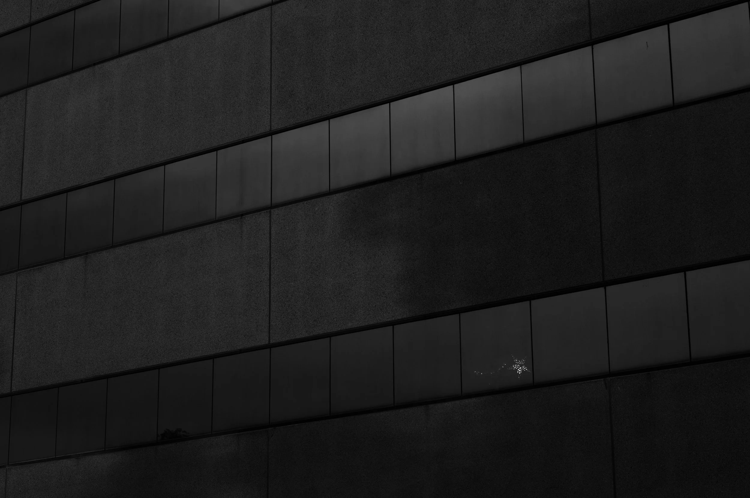 DSC_2429.jpg