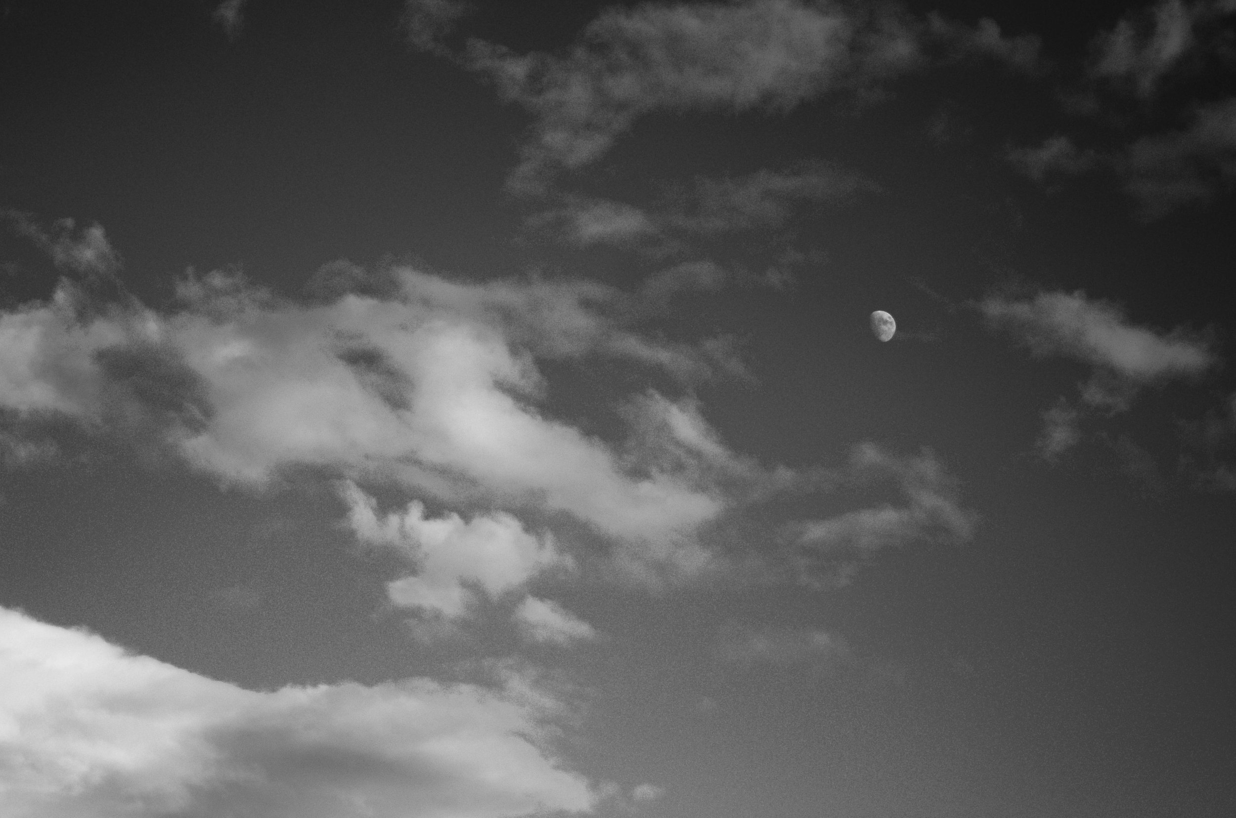 DSC_0380.jpg