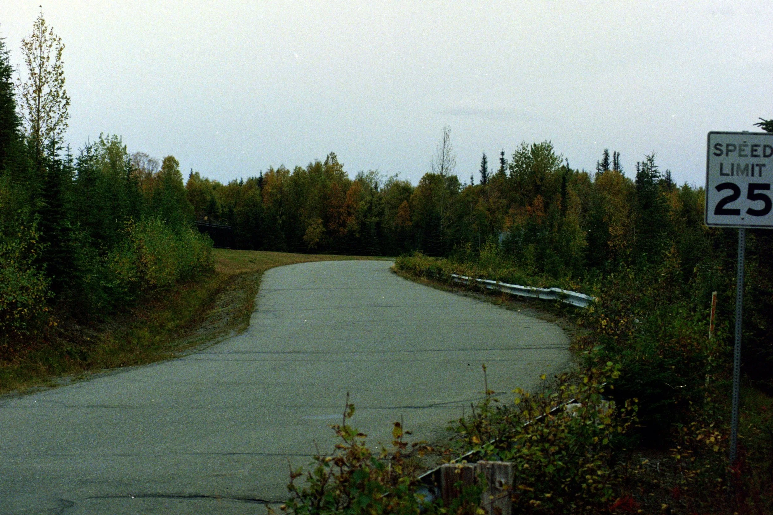 24 - Copy.jpg