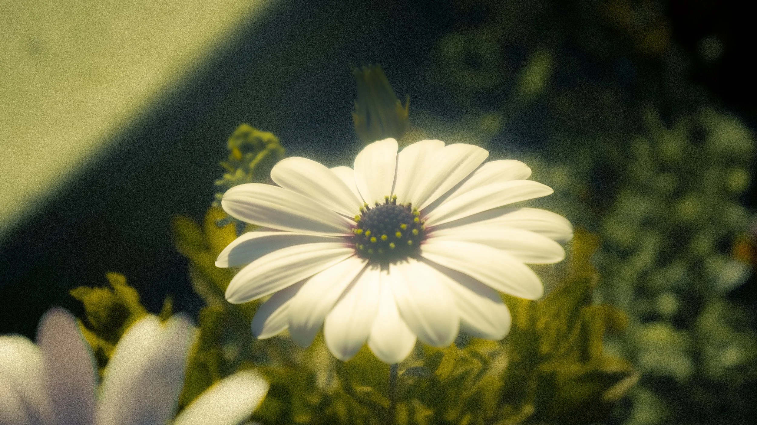 DSC09483.jpg