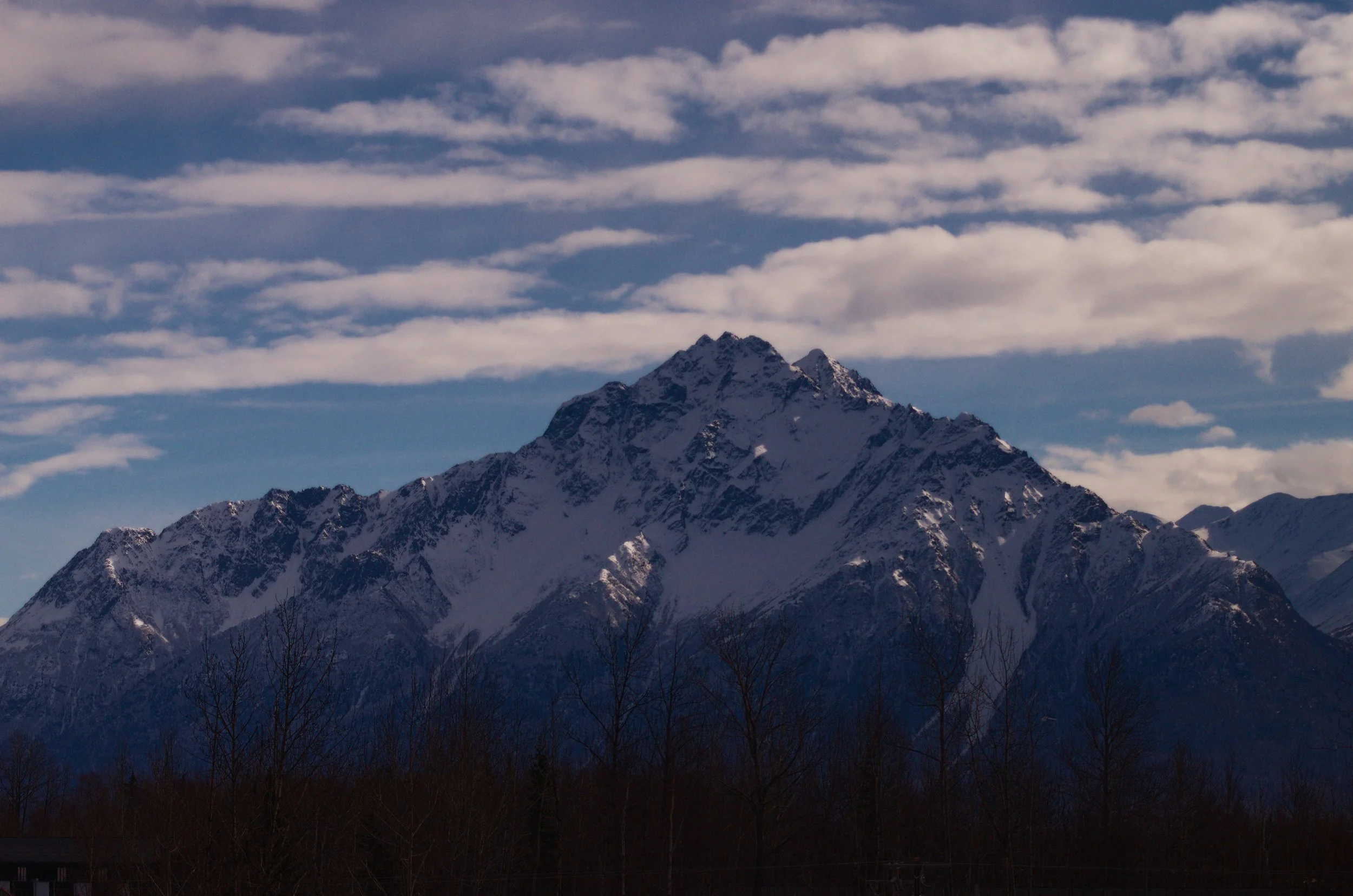 DSC_0978.jpg