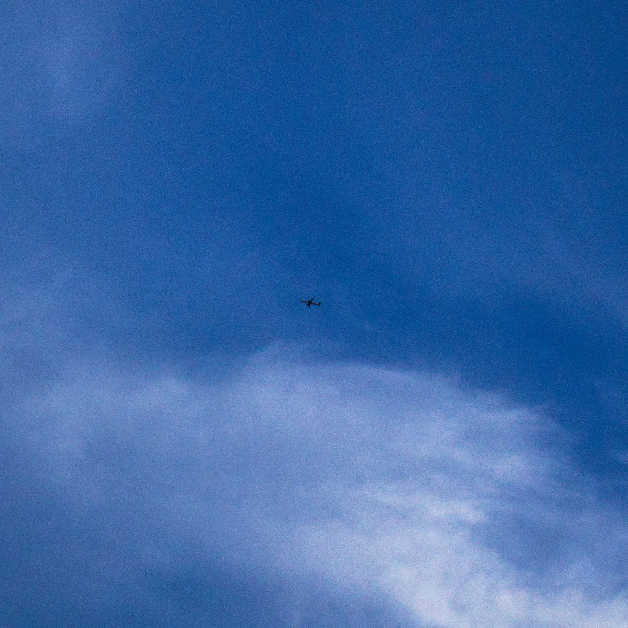 DSC_3839.jpg