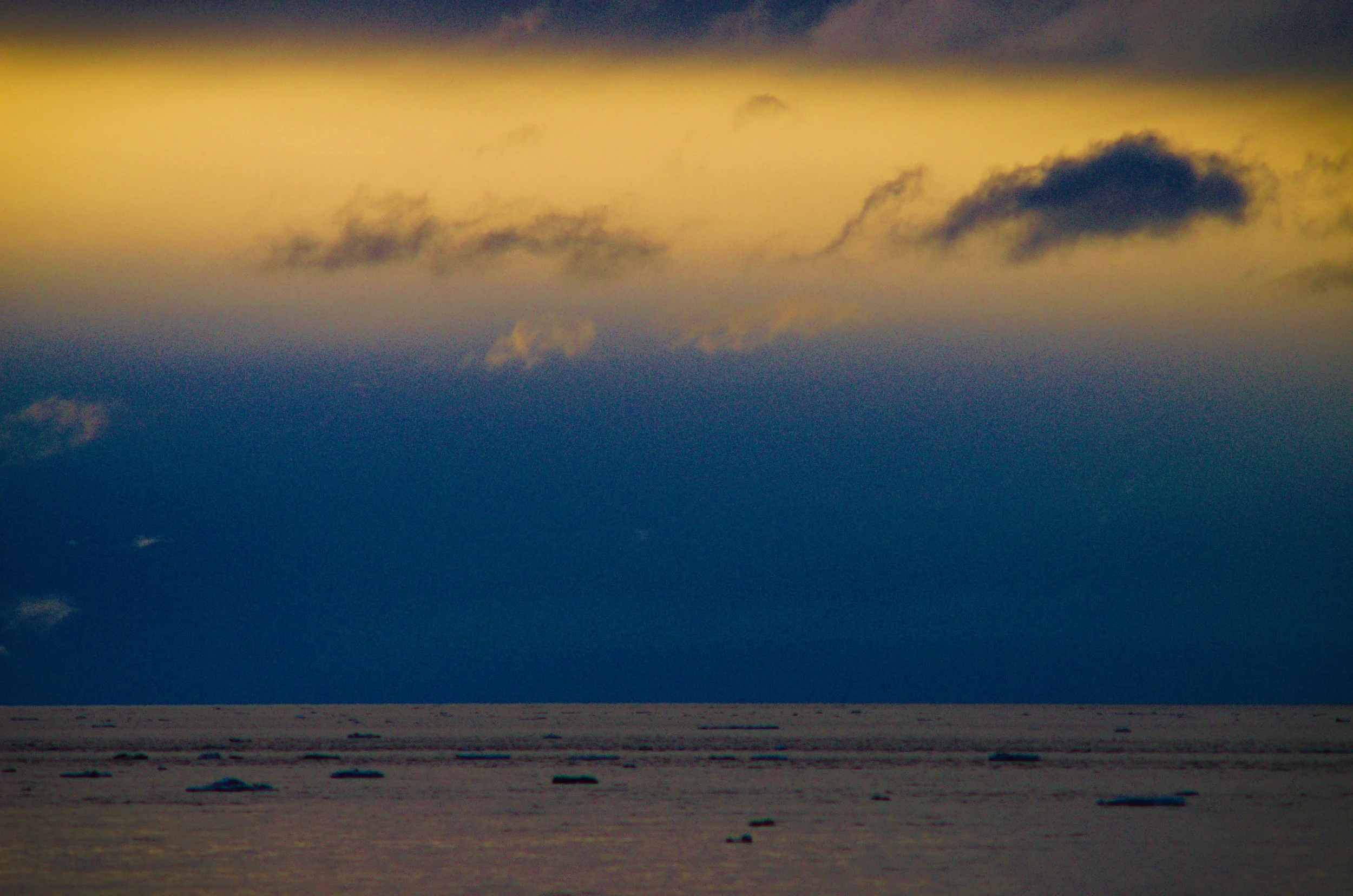 DSC_0621.jpg