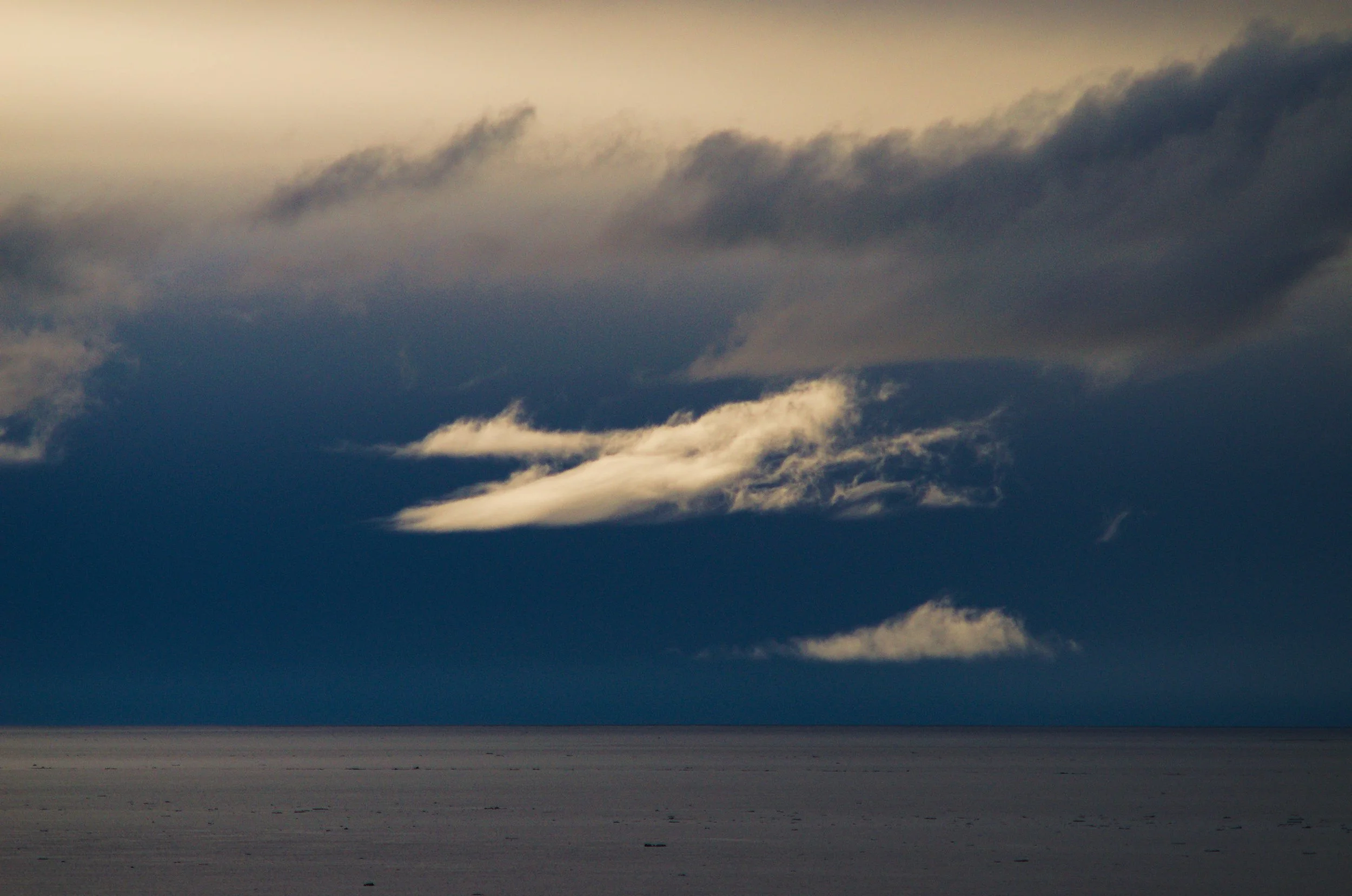 DSC_0517.jpg