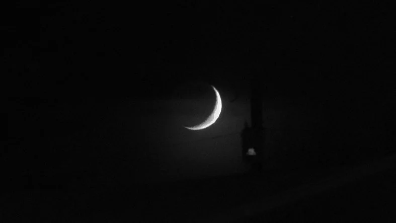 DSC_0094.jpg