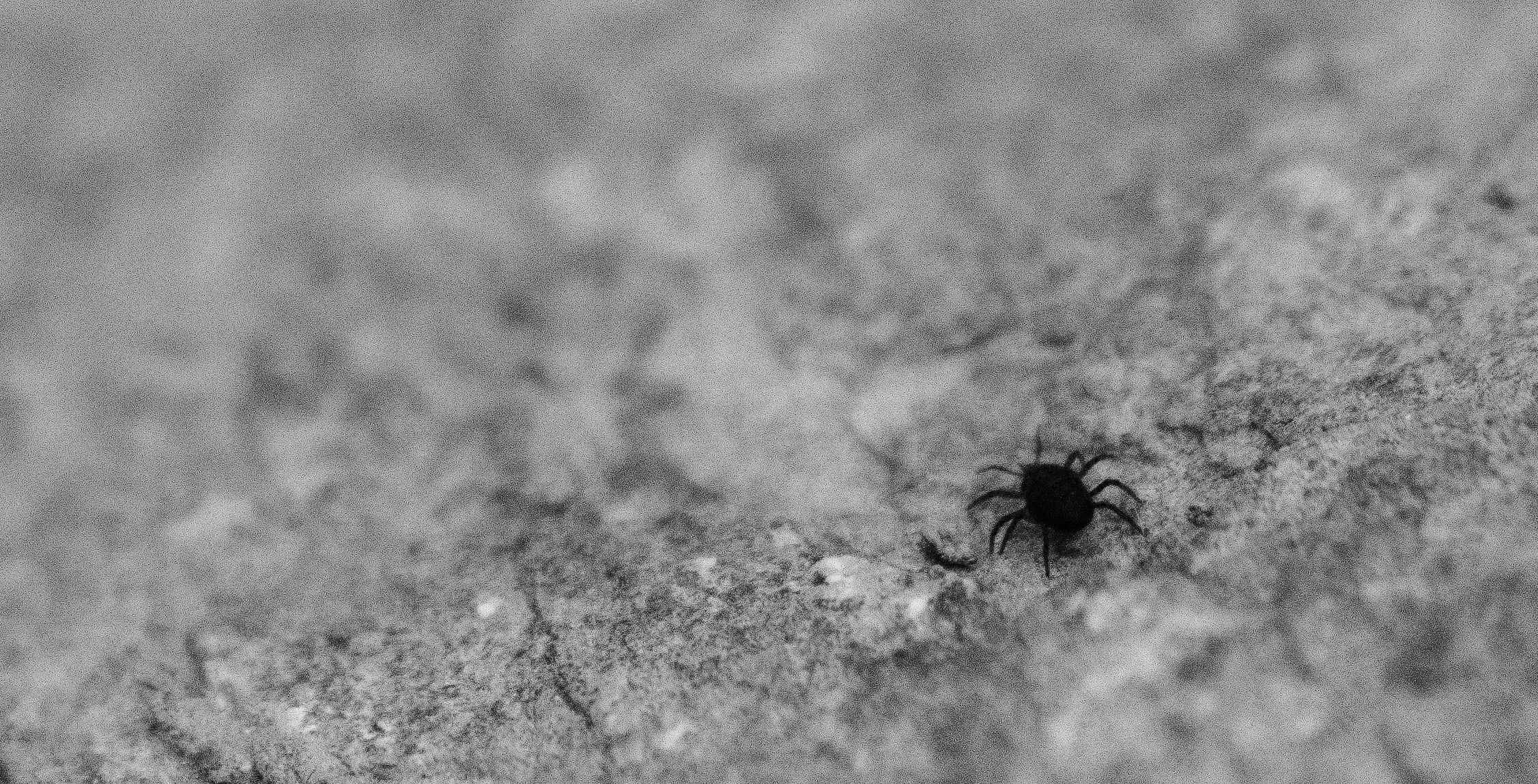 DSC_0960.jpg