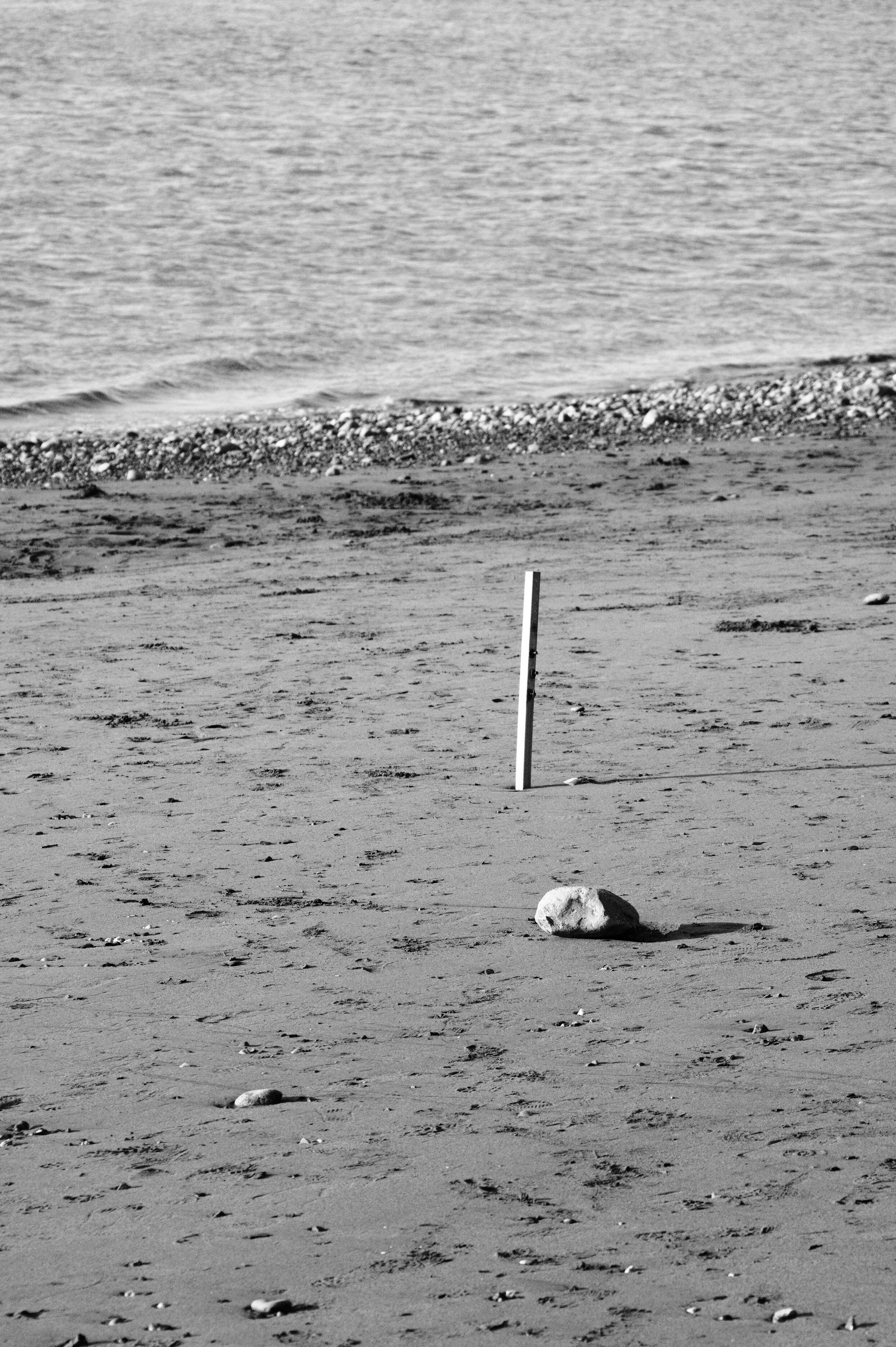 DSC_0807.jpg