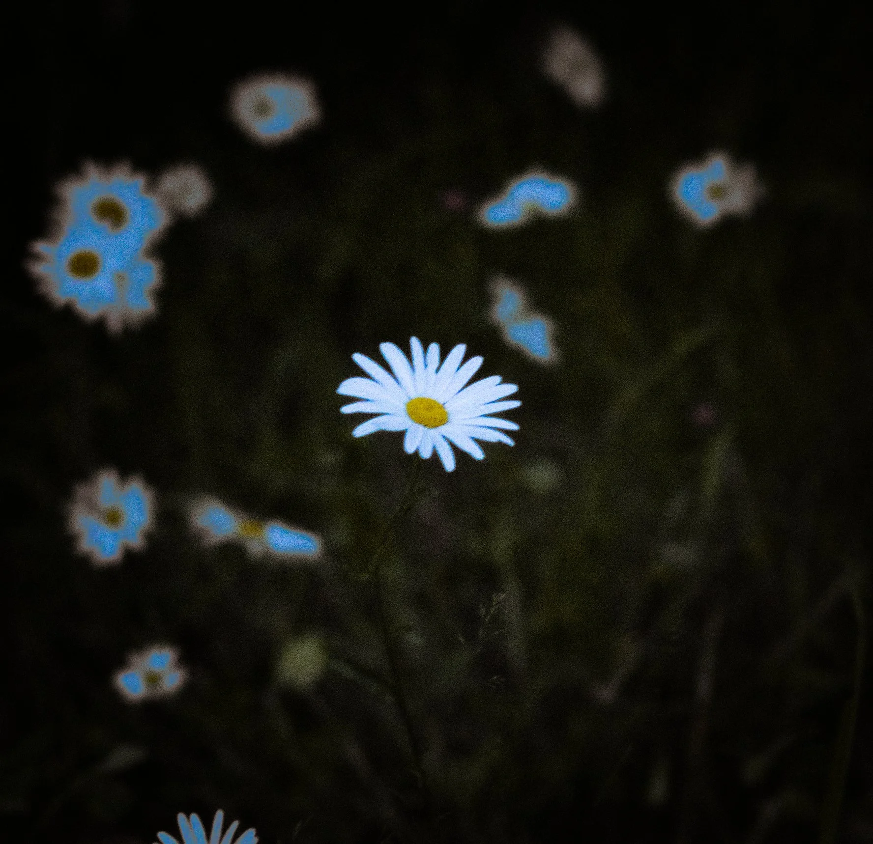 DSC_2748.jpg