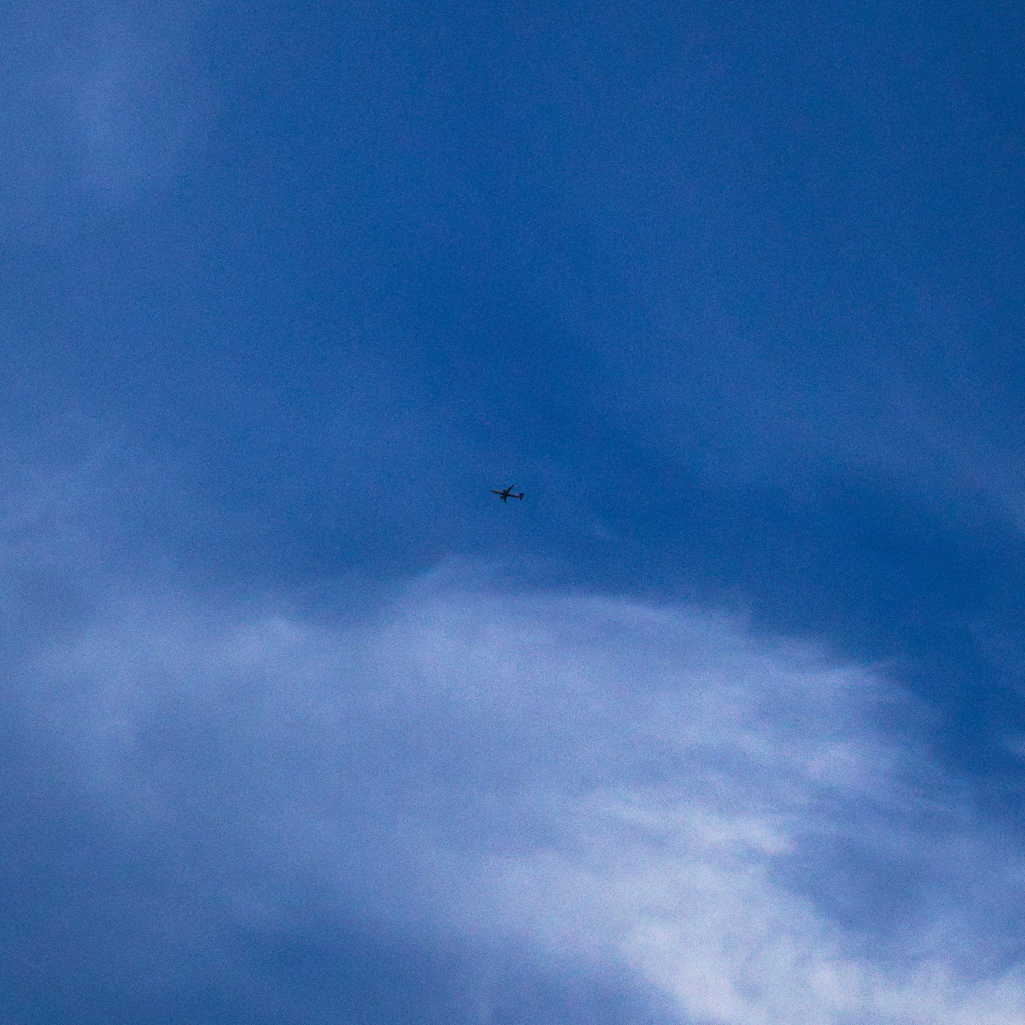 DSC_3839.jpg