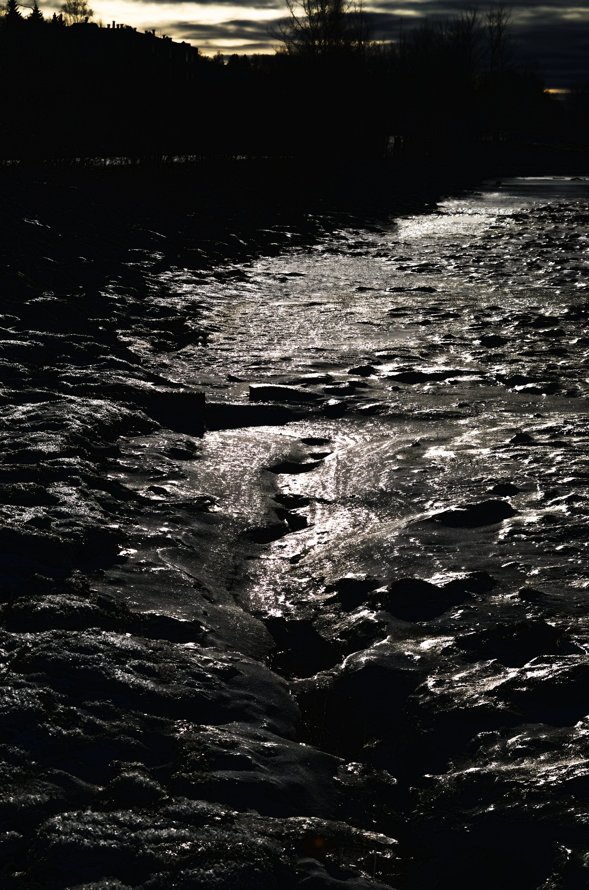 DSC_0041 - Copy.jpg