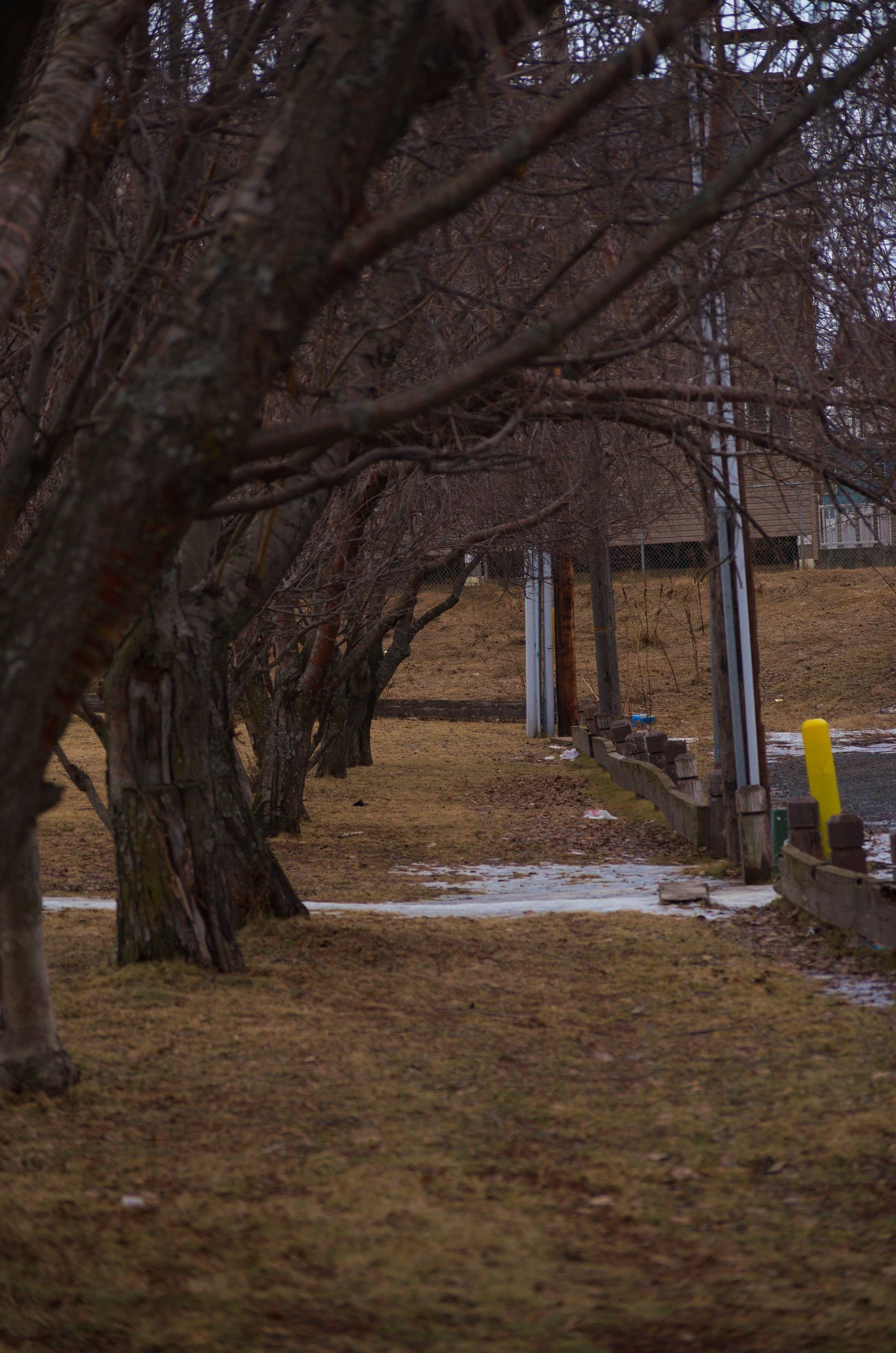 DSC_0975.jpg