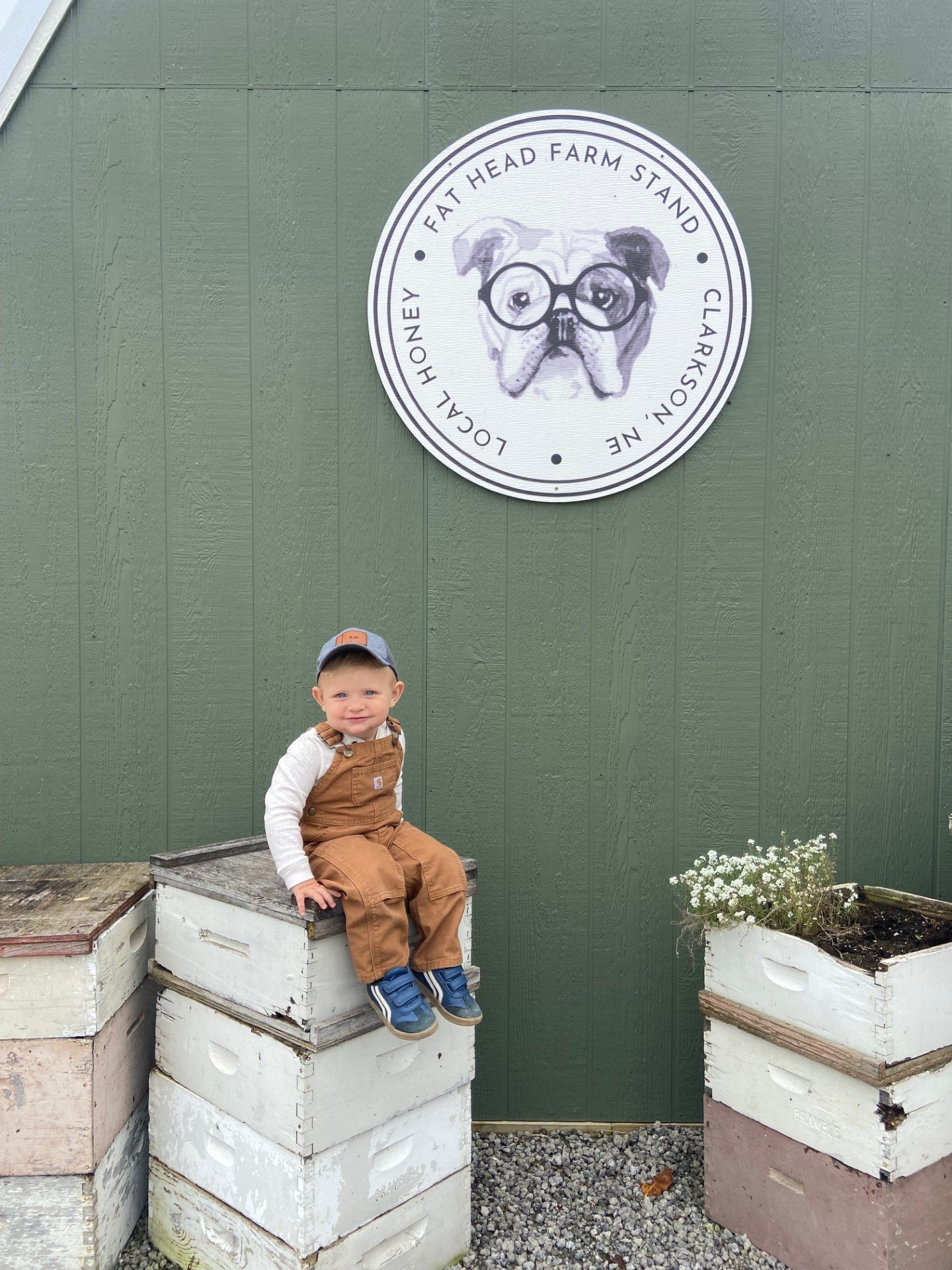 A young boy wearing a gray cap, beige overalls, and blue sneakers sits on a white wooden crate outside in front of a green wall. Above him, a round sign features a dog wearing glasses and text that reads 'Fat Head Farm Stand Clarkson, NE, Local Honey