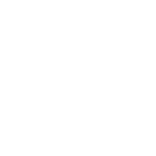 TANTAMOUNT SPORTS GROUP