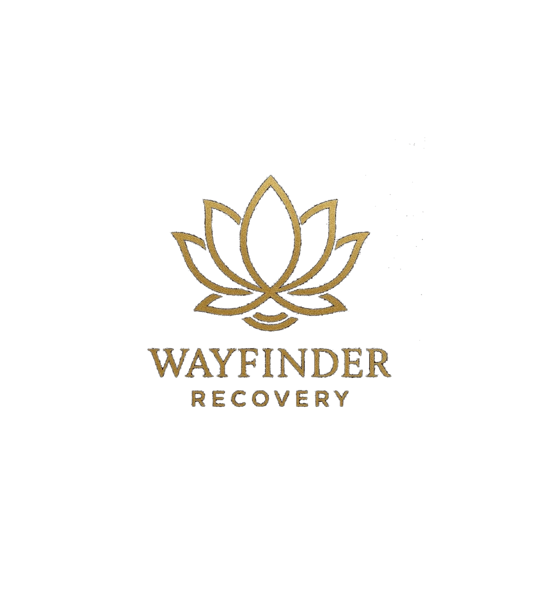 Rethinking Addiction: Neuroplasticity, Learning, and the Limits of the Disease Model