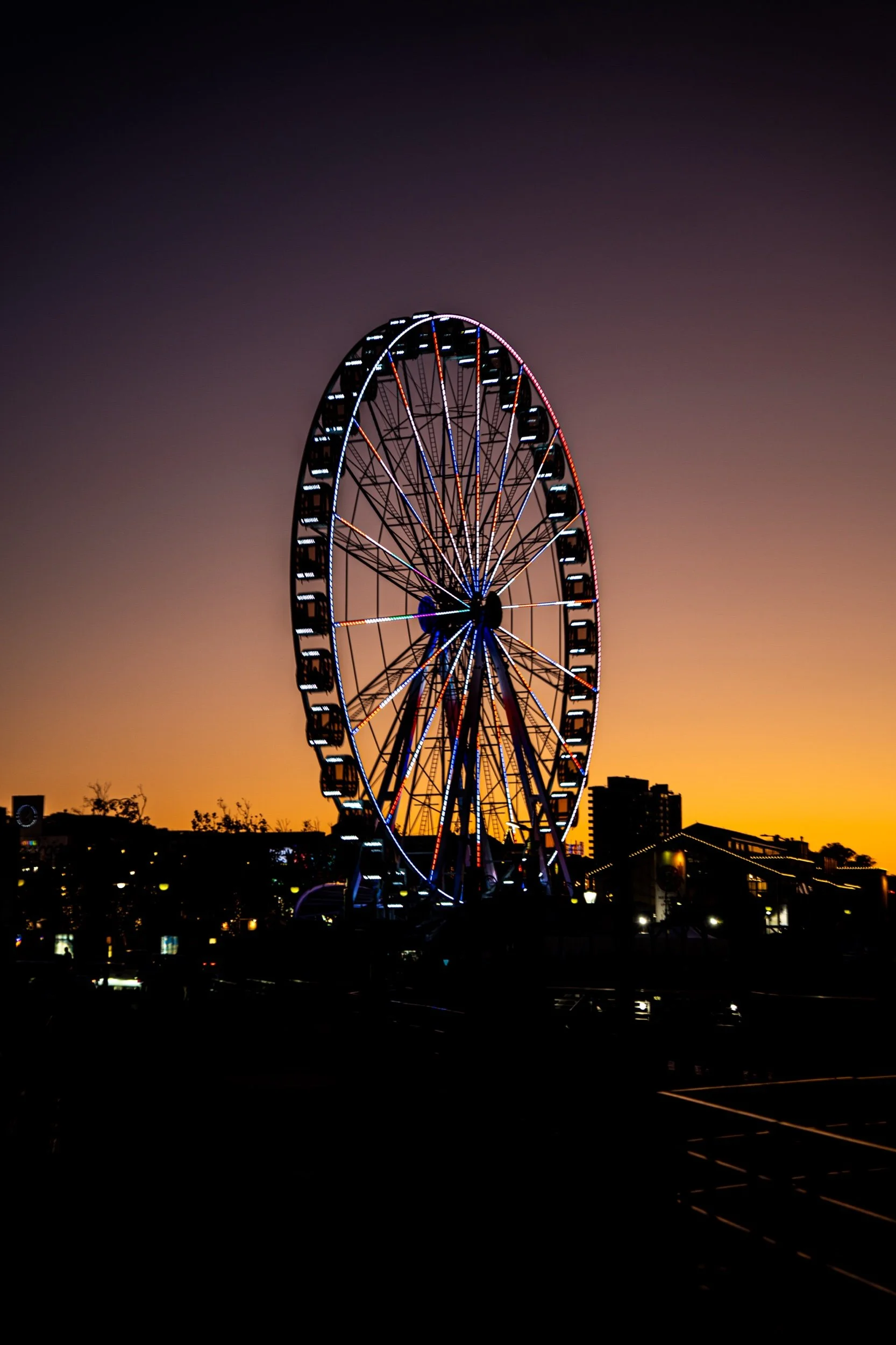 Golden Hour Carousel