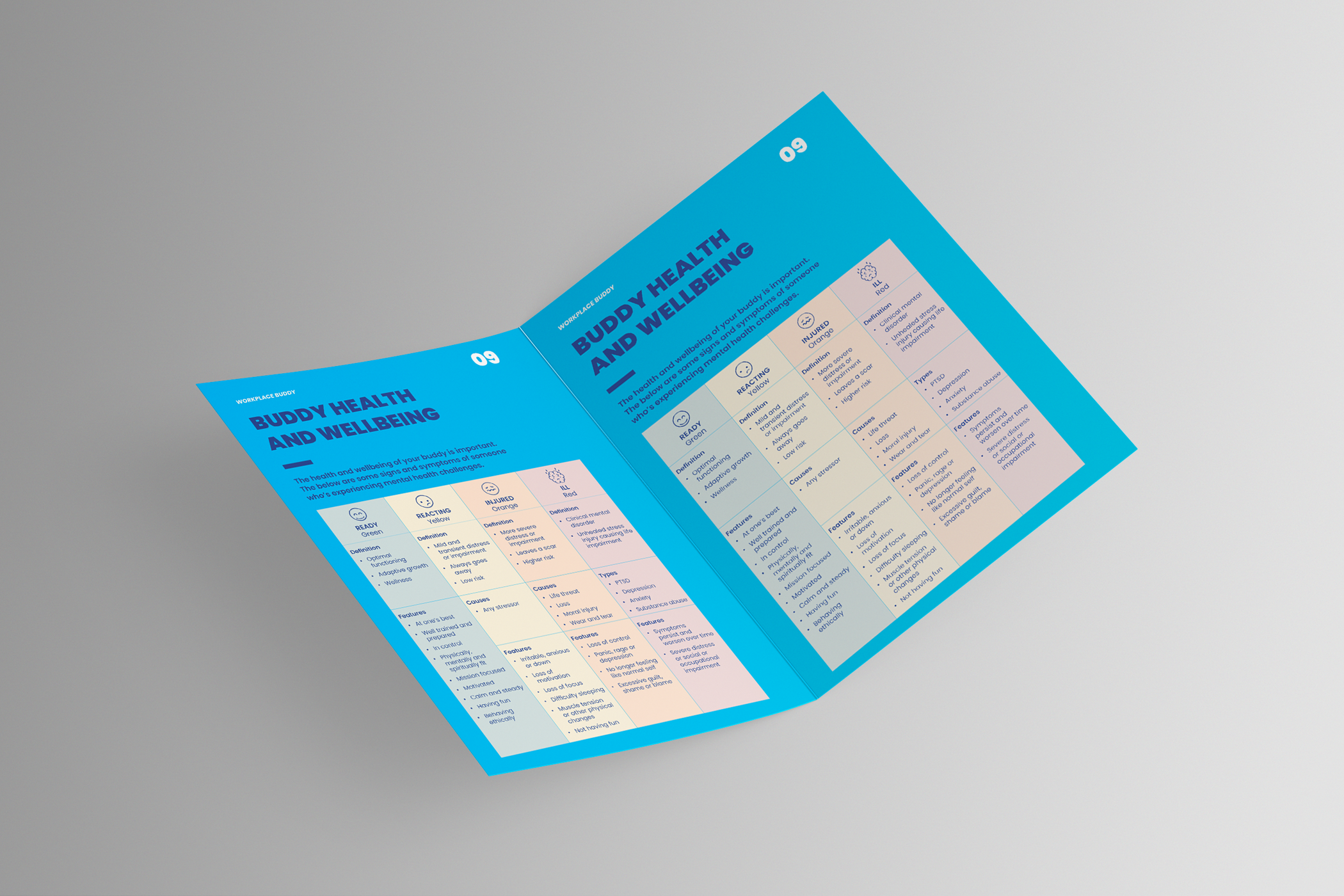 Open blue brochure titled 'Buddy Health and Wellbeing' with charts and text on mental health signs and symptoms.