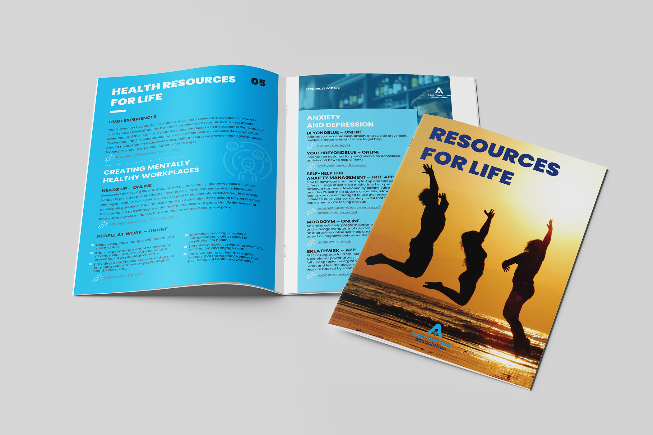 Brochure Design for AAOA – Branded Resources & Marketing Collateral